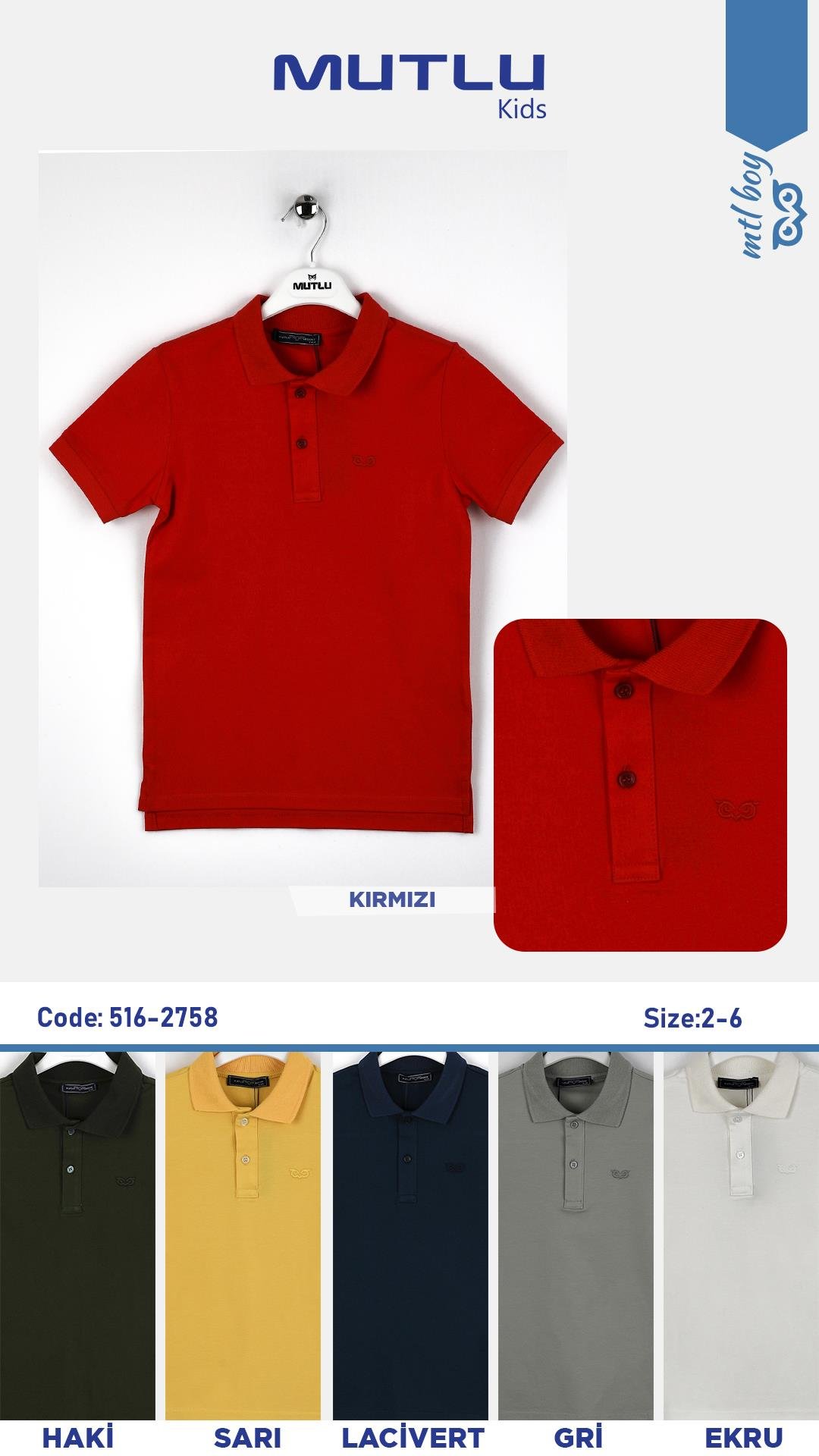 POLO YAKA NAKIŞLI ERKEK LACOST