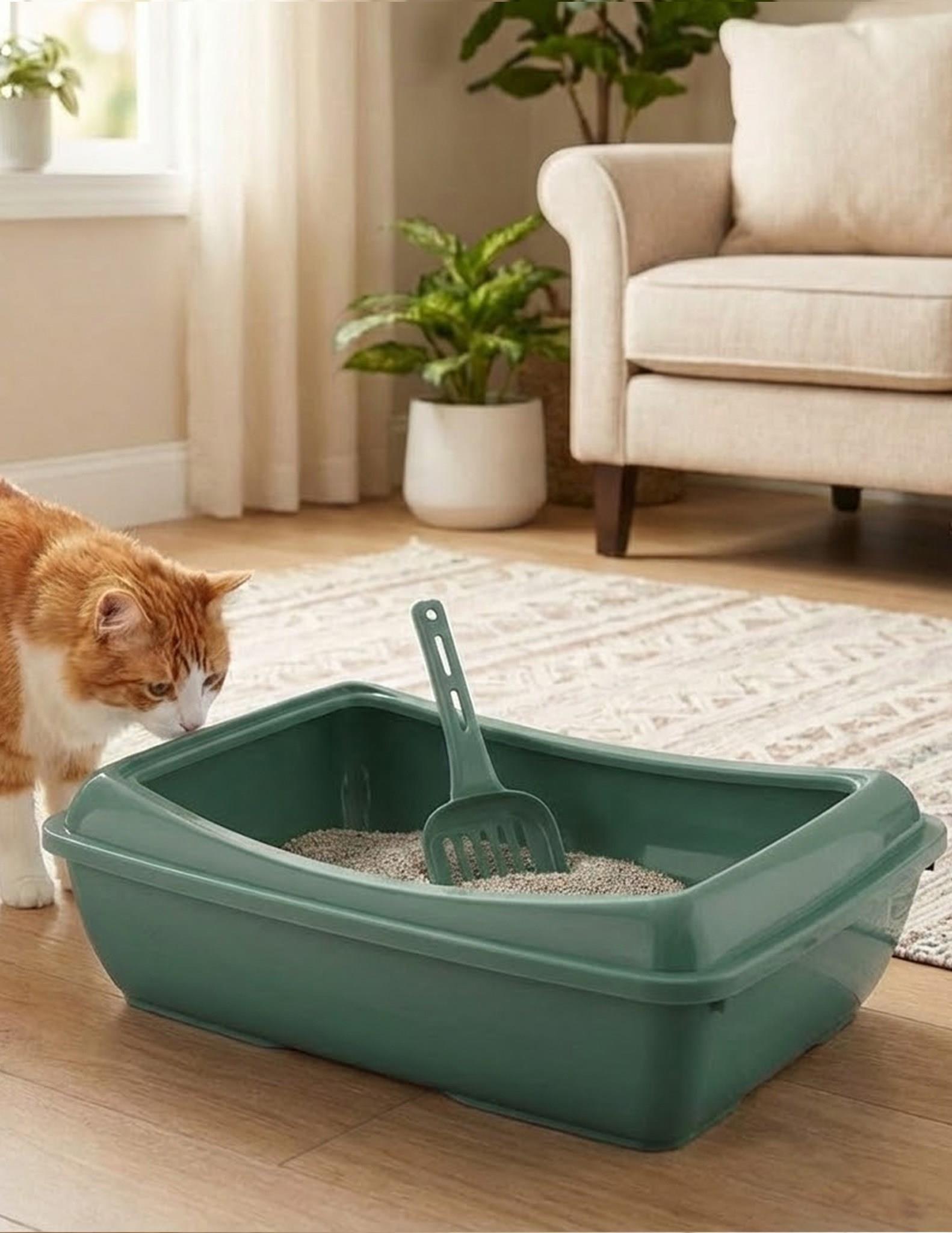 Açık Ekonomik Kedi Tuvaleti 49x15x37,5 cm Kürekli