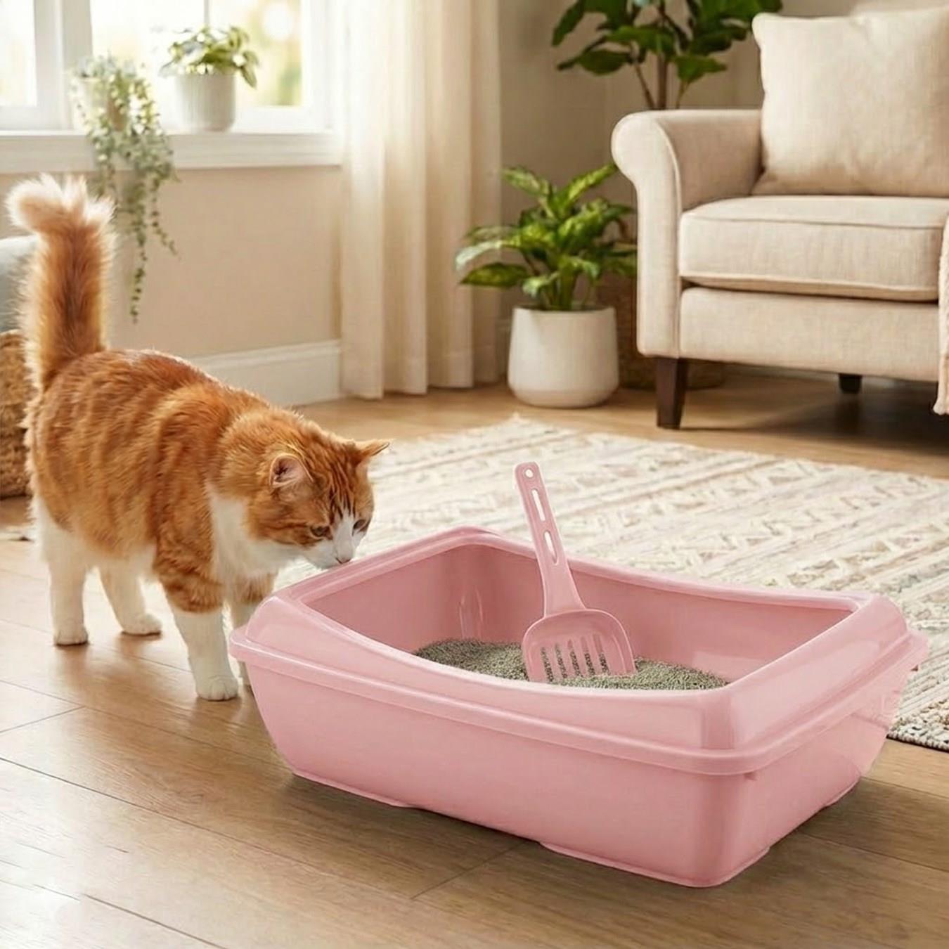 Büyük Açık Kedi Tuvaleti XXL