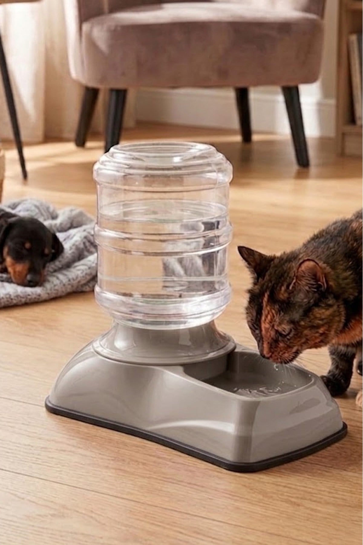 Damacanalı Kedi ve Köpek Su Sebili (Elektriksiz Otomatik Hazneli) 3.5 Litre