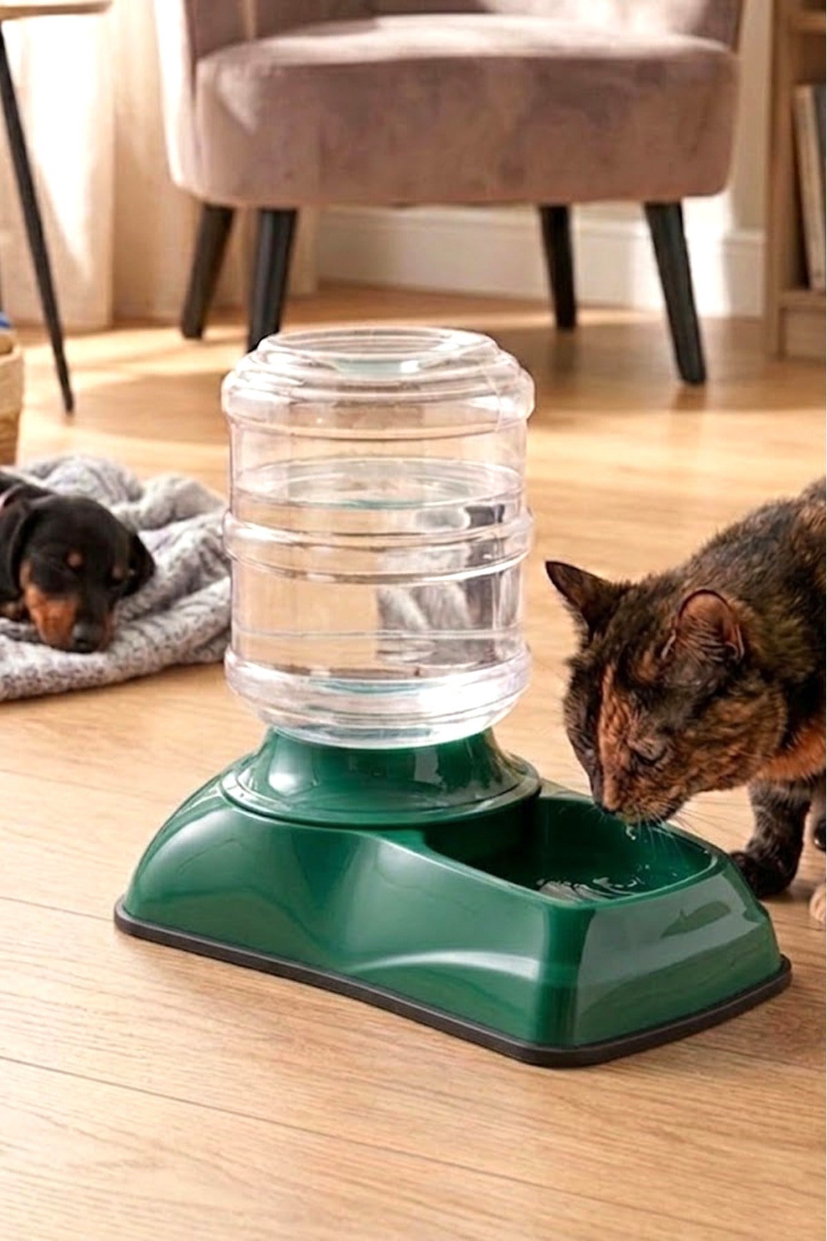 Damacanalı Kedi ve Köpek Su Sebili (Elektriksiz Otomatik Hazneli) 3.5 Litre
