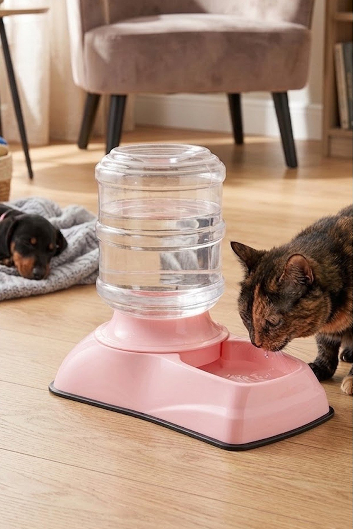 Damacanalı Kedi ve Köpek Su Sebili (Elektriksiz Otomatik Hazneli) 3.5 Litre