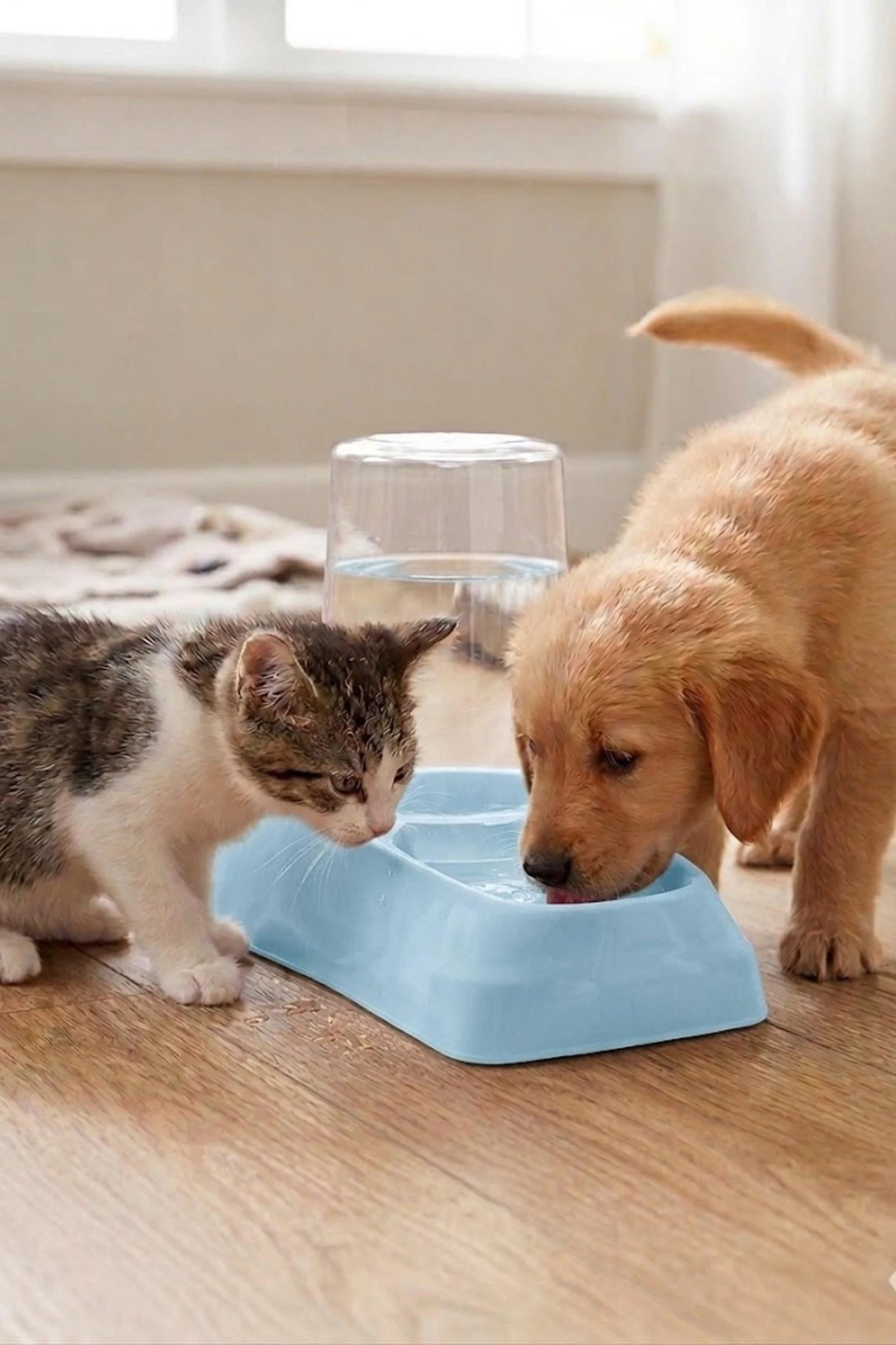 Hazneli Kedi Köpek Su ve Mama Kabı 1,75 LT