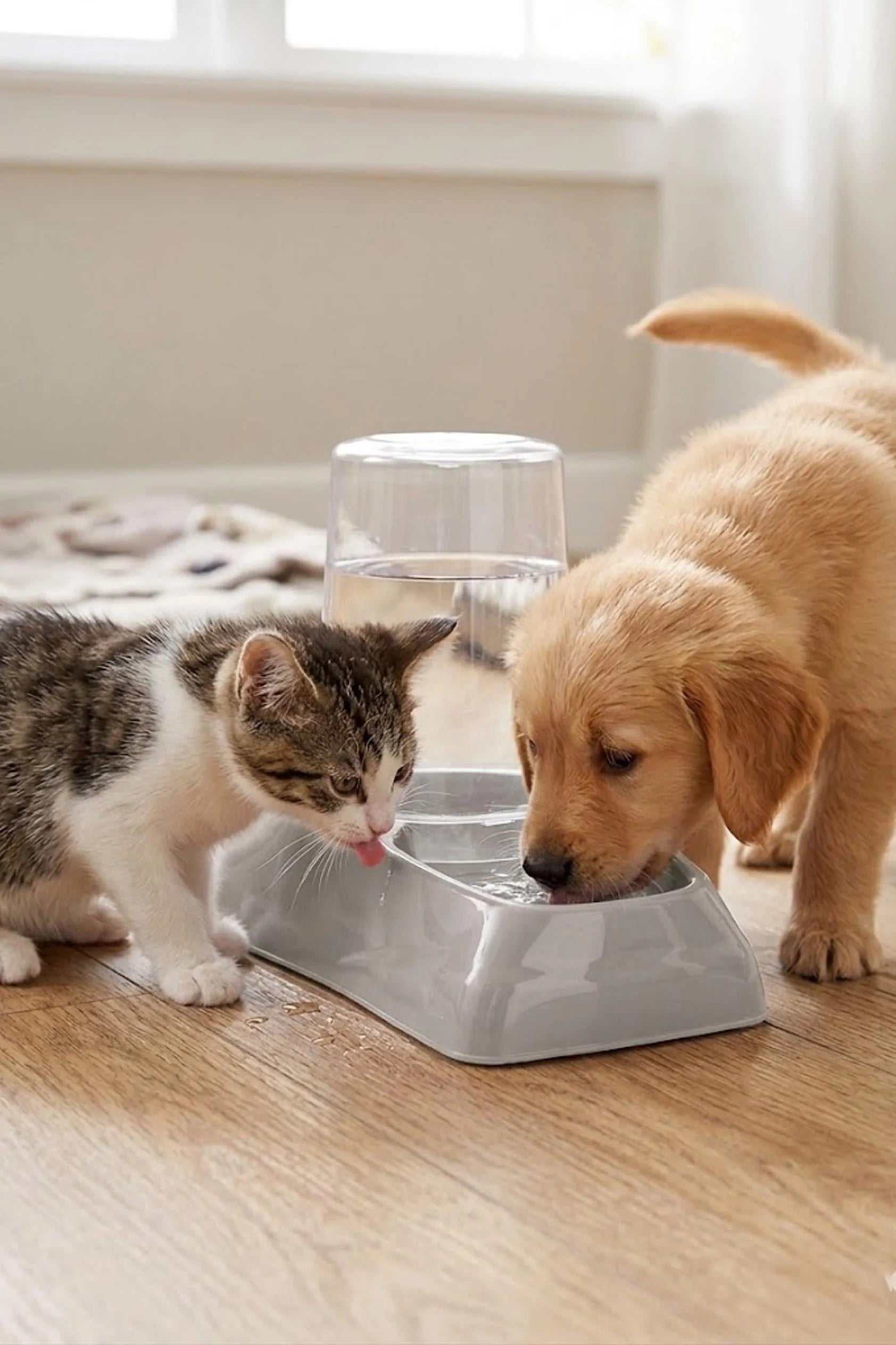 Hazneli Kedi Köpek Su ve Mama Kabı 1,75 LT
