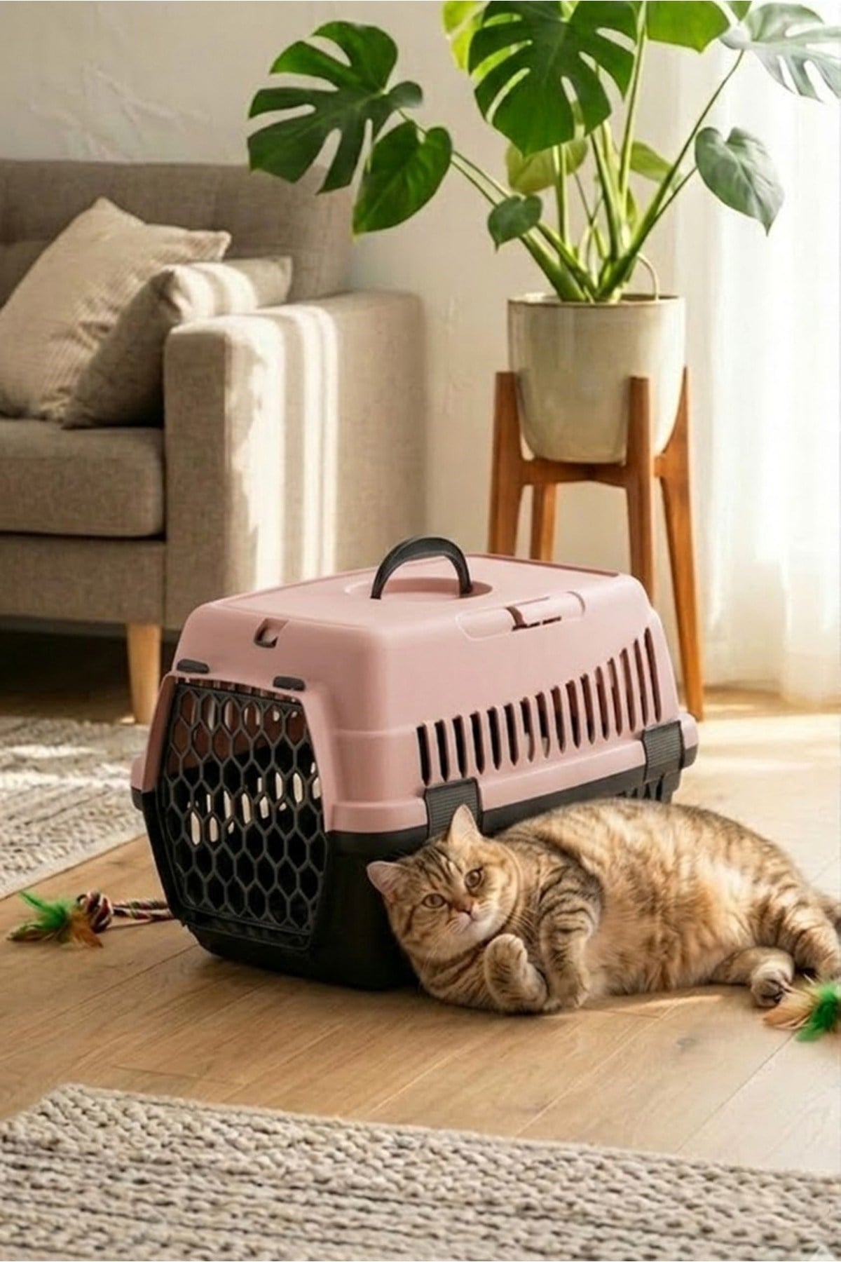 Kedi Köpek (Evcil Hayvan) Taşıma Çantası Orta Boy (Renkli)