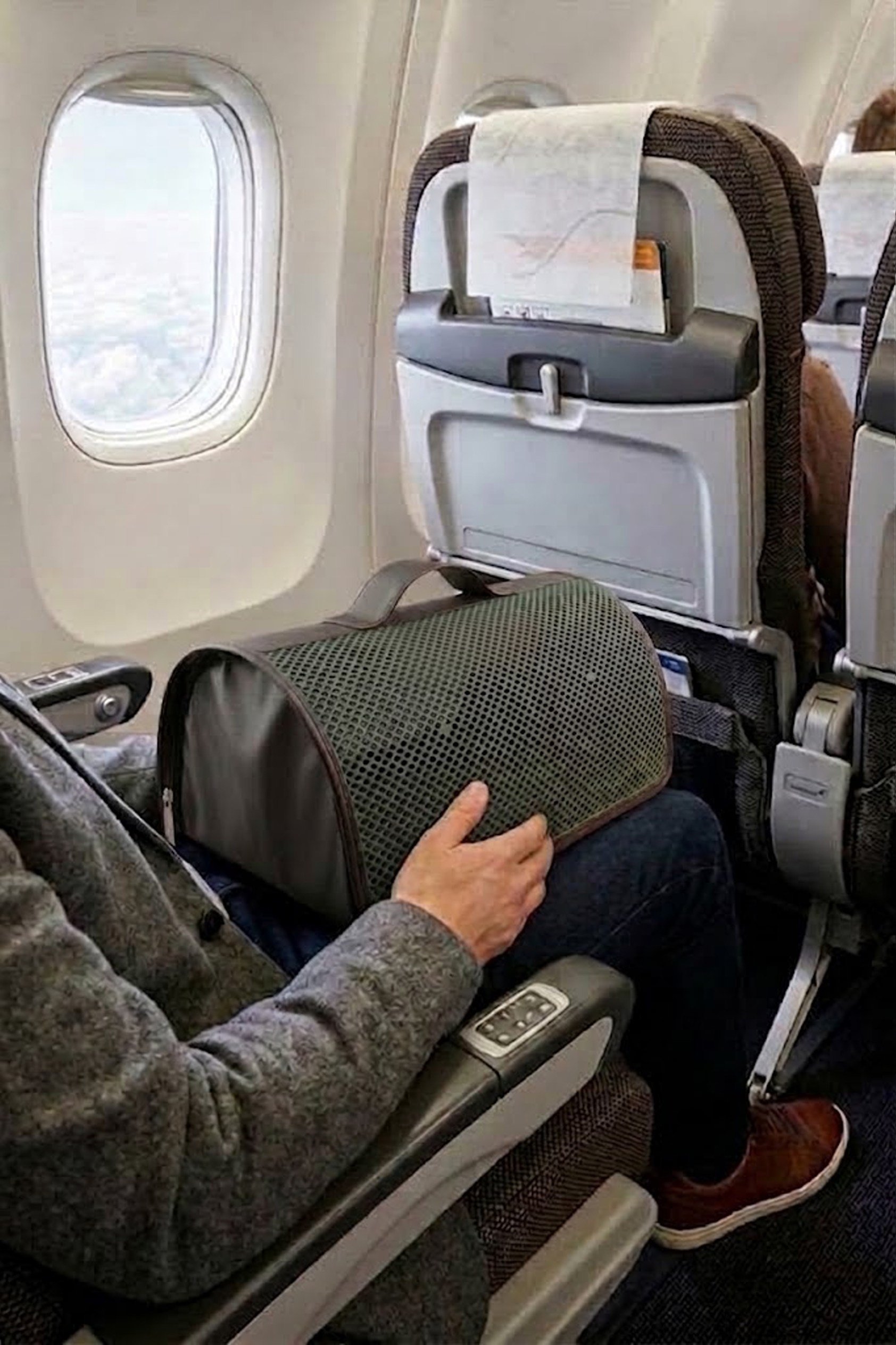 Uçak Onaylı Kedi Köpek Taşıma Çantası | Kabin Boy Evcil Hayvan Seyehat Çantası (40x30x23 cm) 