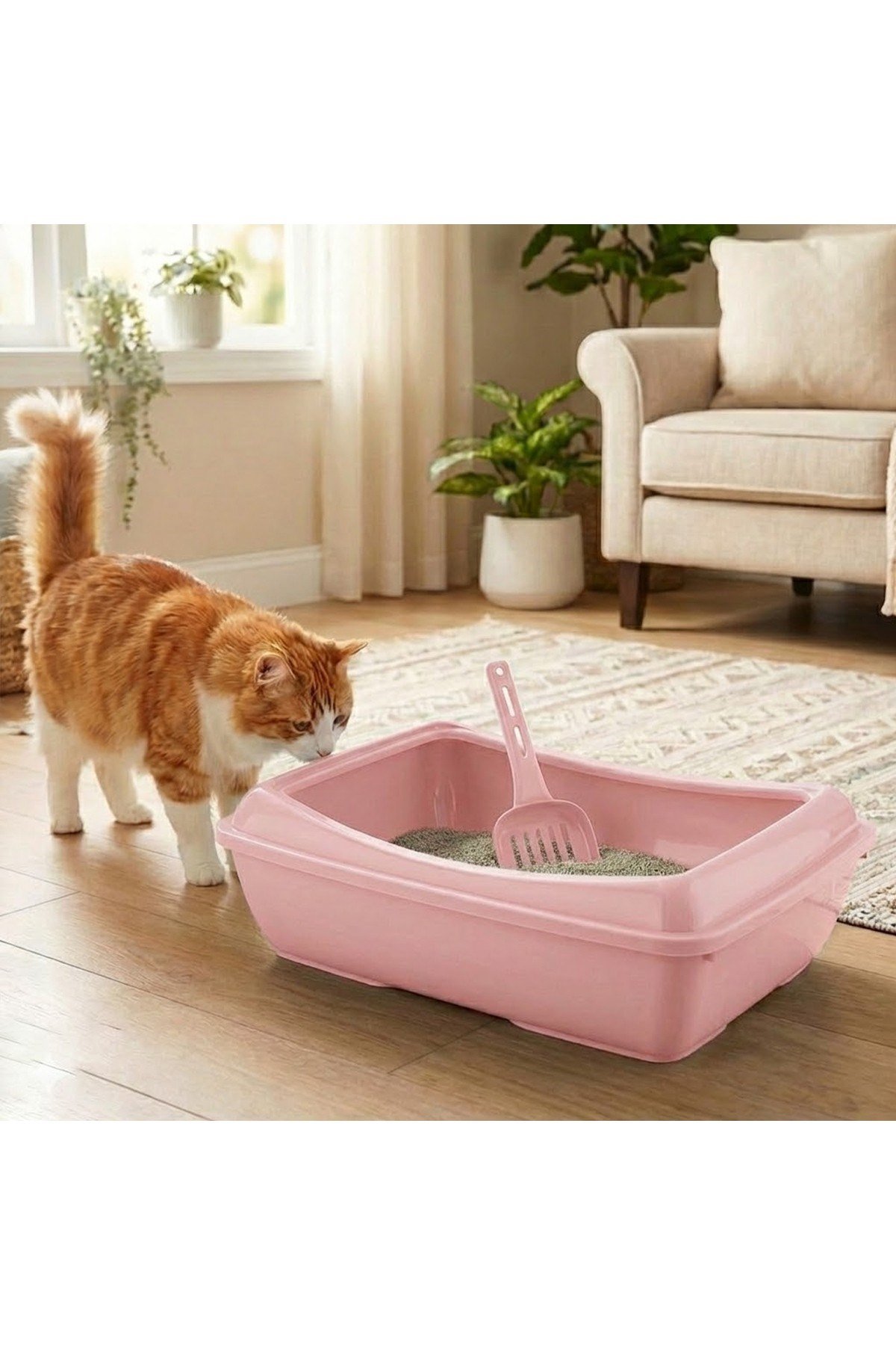 Yüksek Kenarlı Açık Kedi Tuvaleti (Kürek Hediyeli)