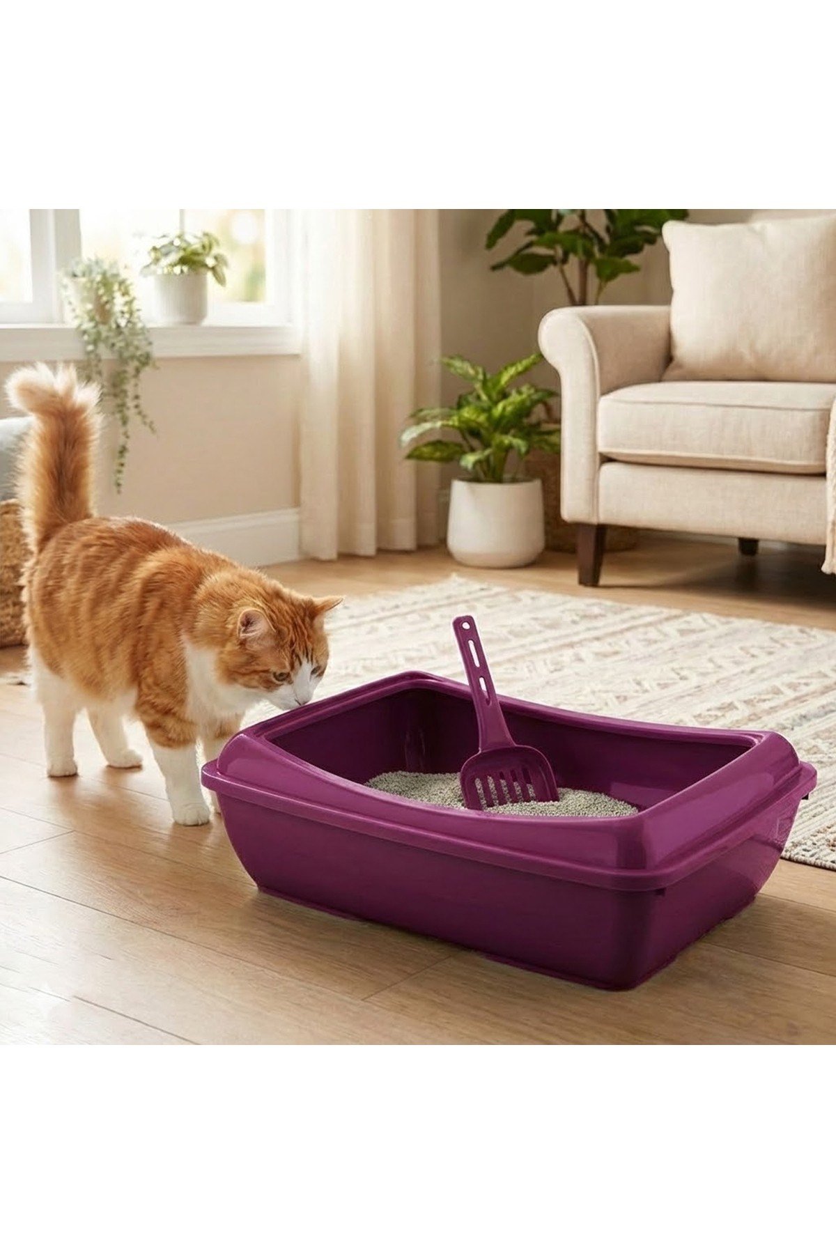 Yüksek Kenarlı Açık Kedi Tuvaleti (Kürek Hediyeli)