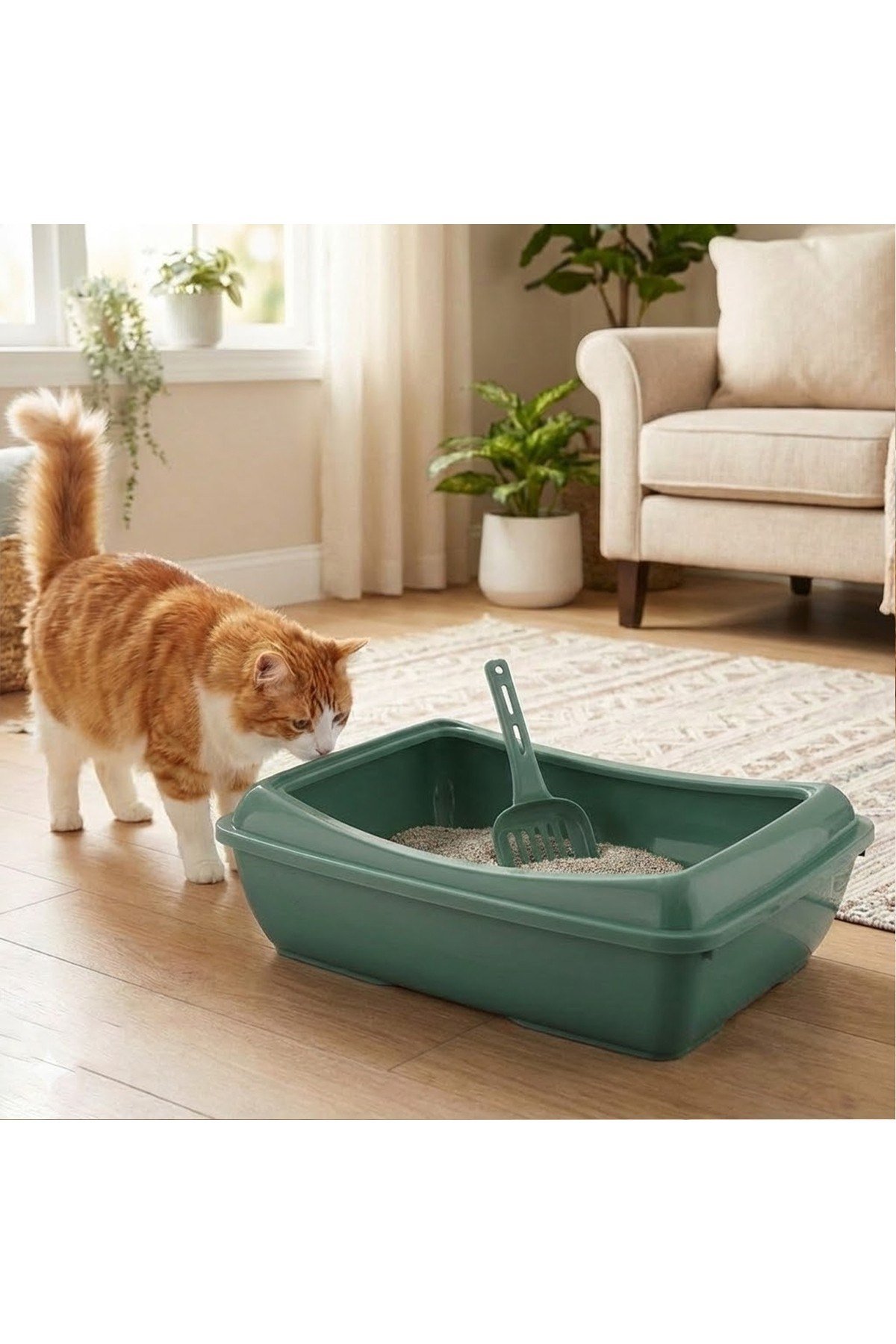 Yüksek Kenarlı Açık Kedi Tuvaleti (Kürek Hediyeli)