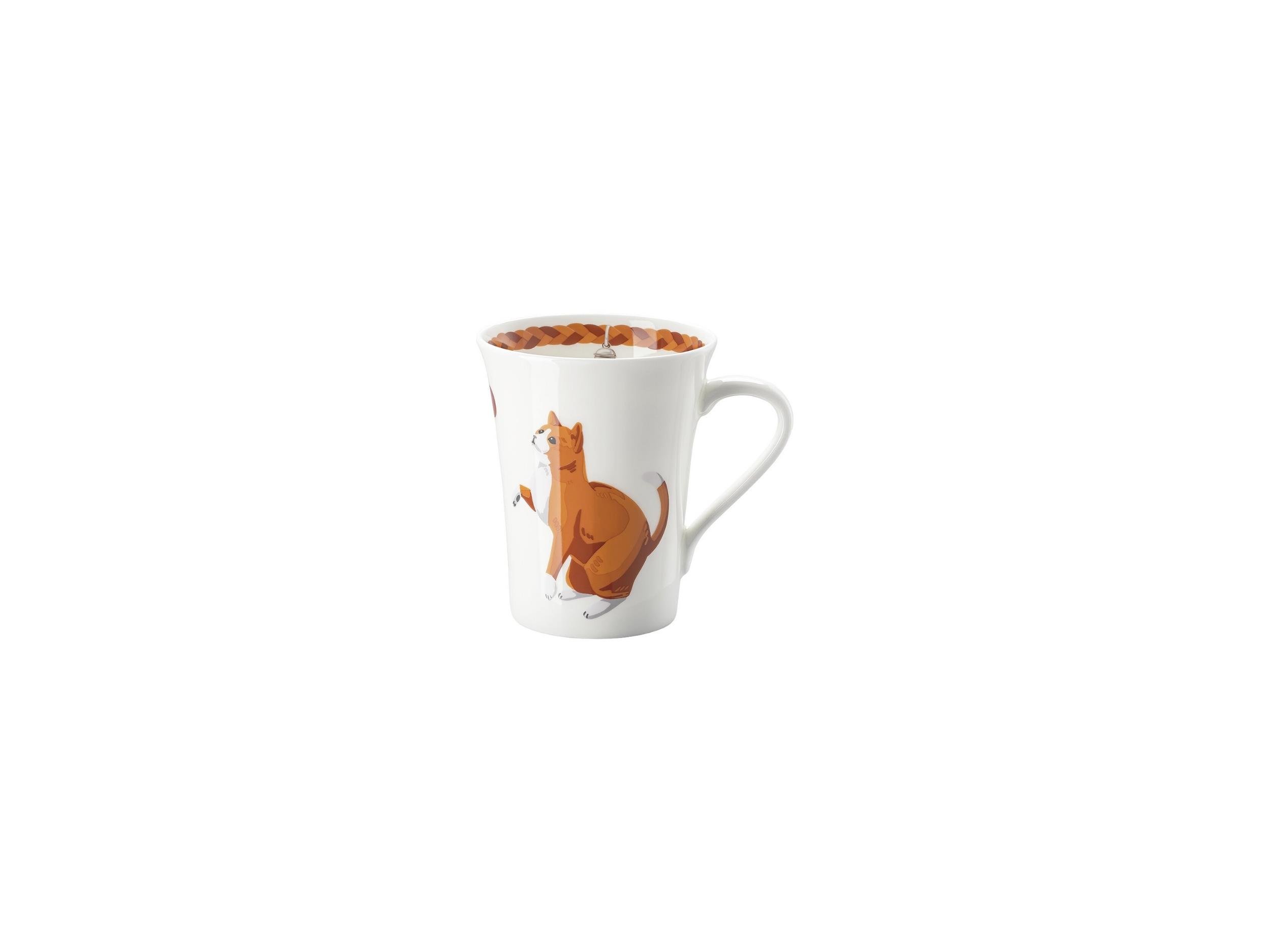 Kahve Kupa Cat