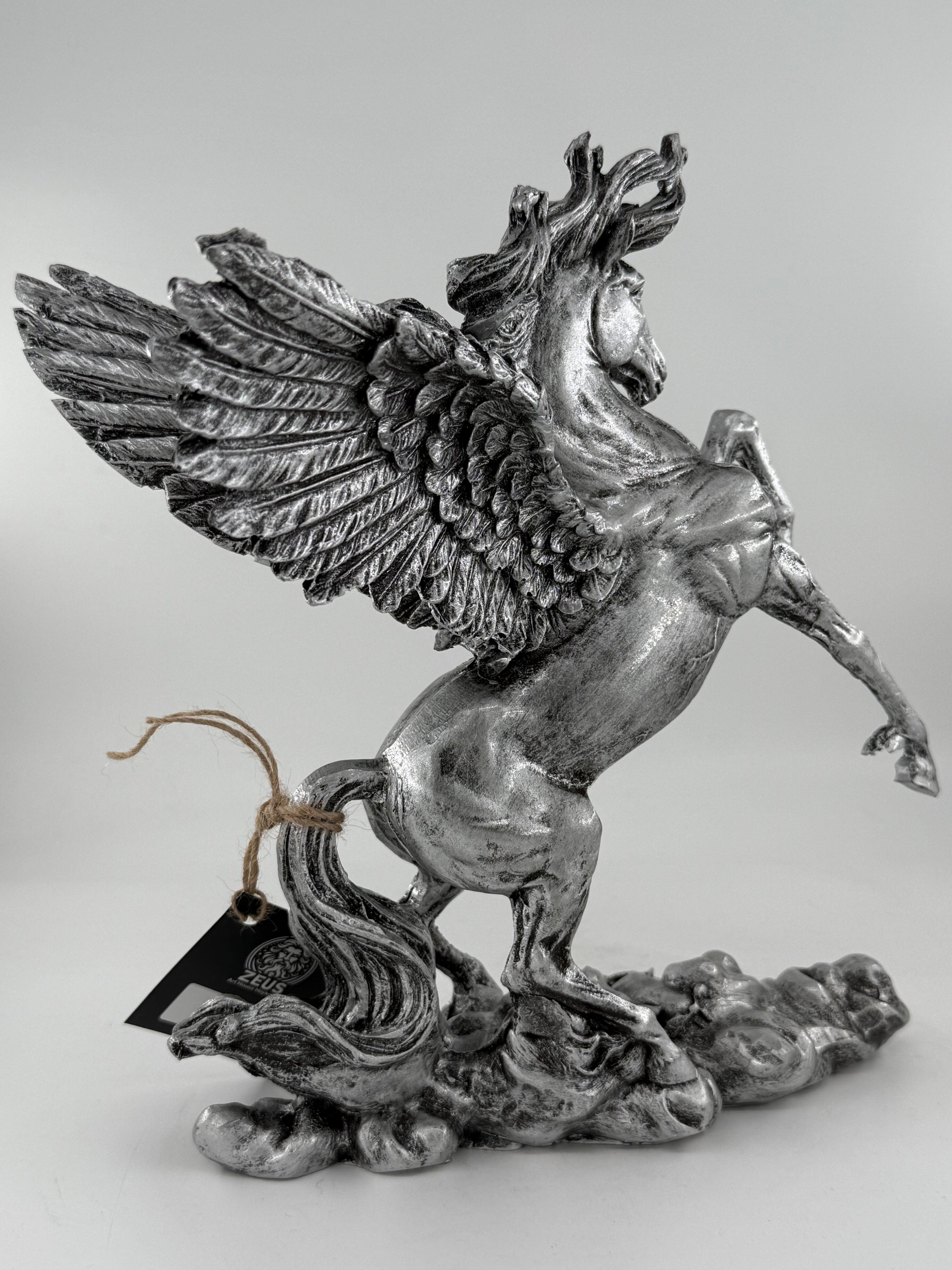 PEGASUS