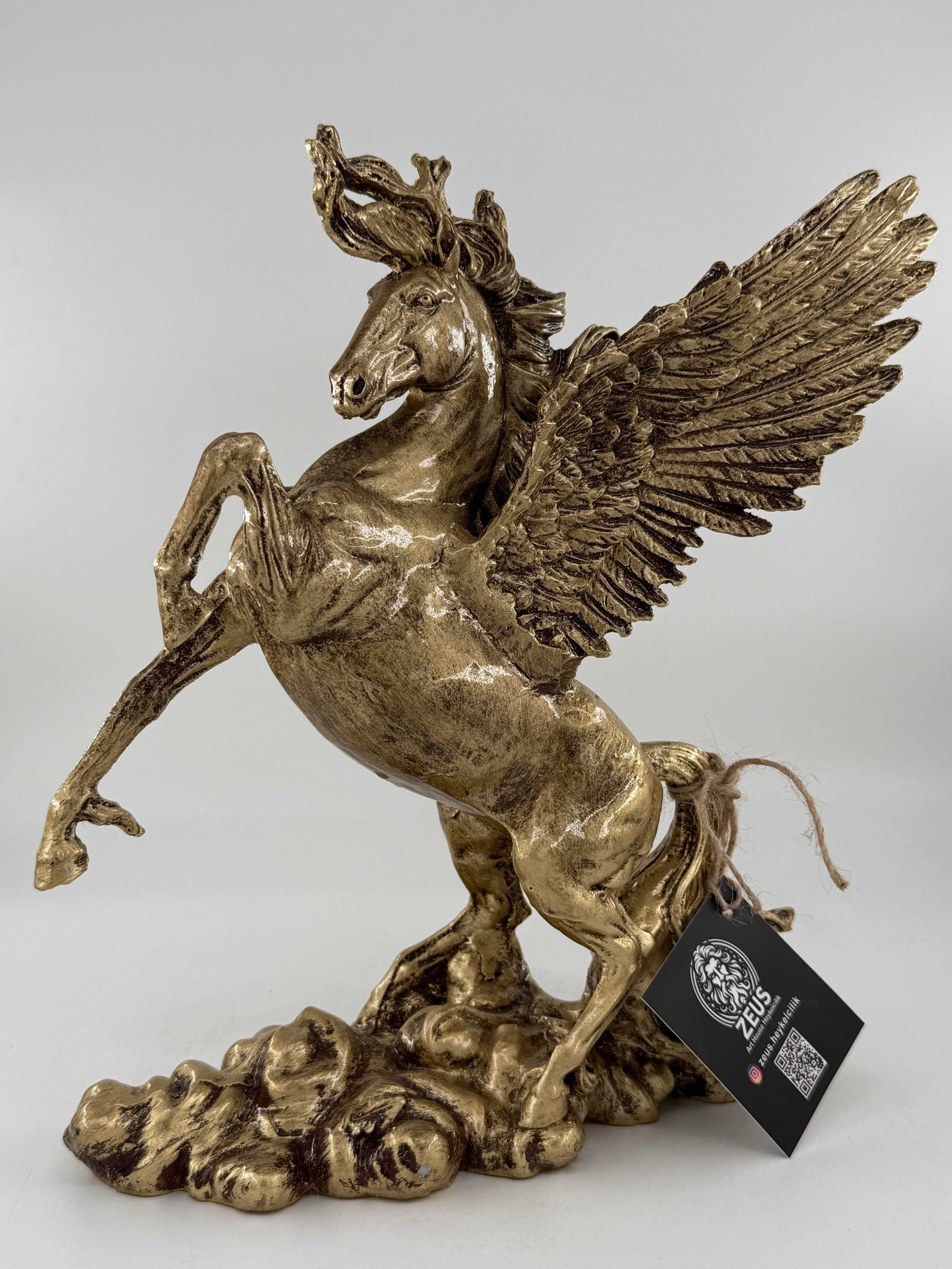 PEGASUS