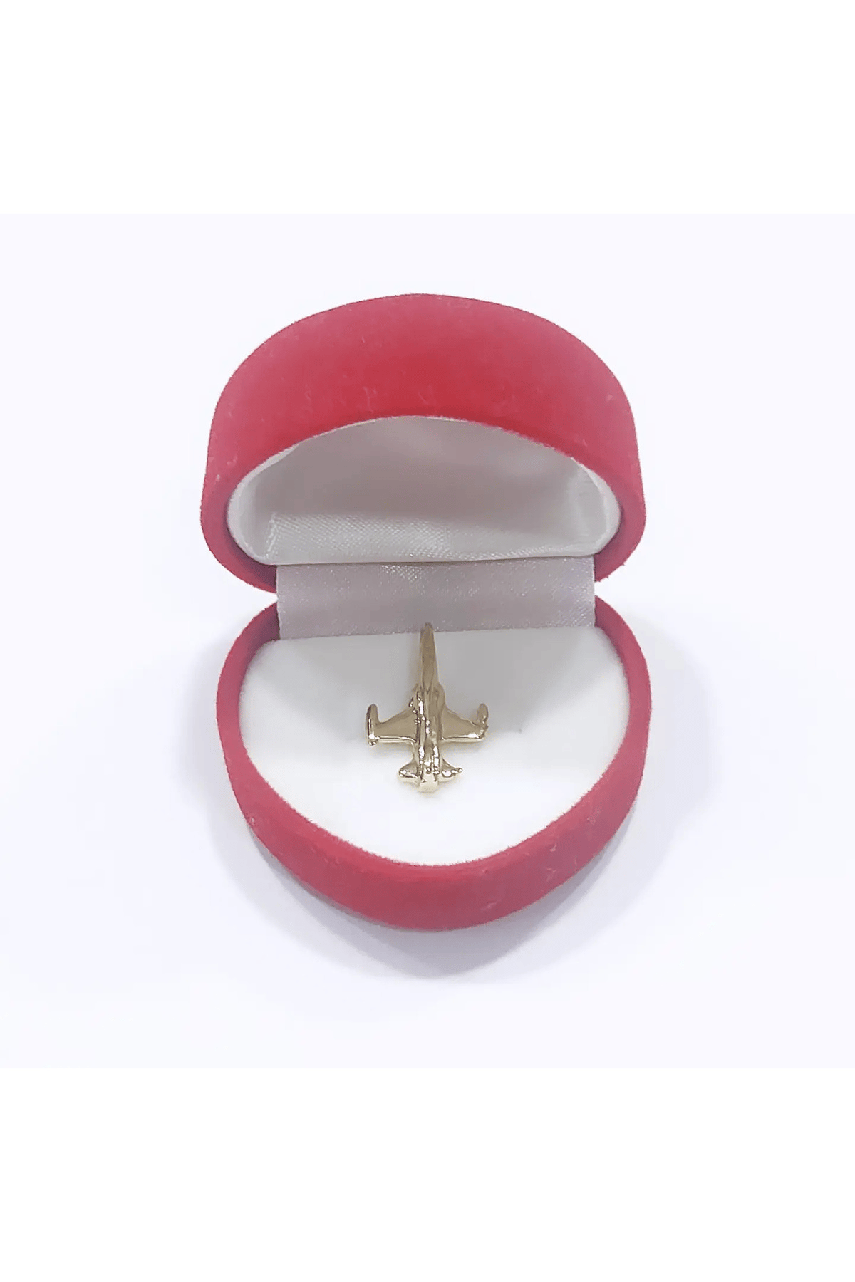 Uçak Rozet
