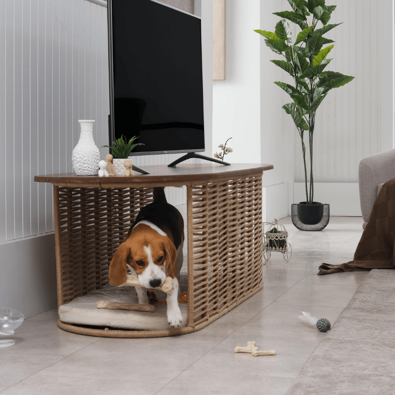 Armario TV Sehpası & Pet Yatağı