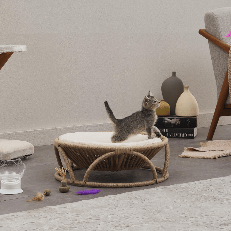 Bornea Pet Yatağı