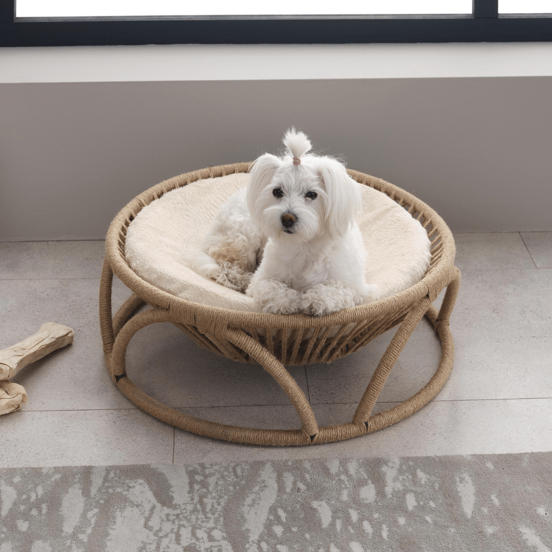 Bornea Bold Pet Yatağı