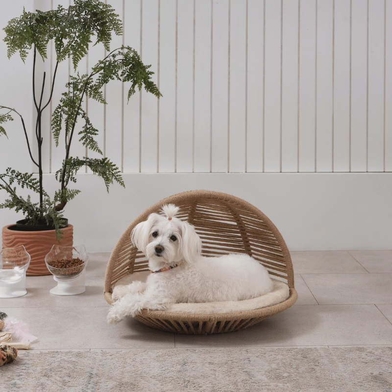 Dormi Pet Yatağı