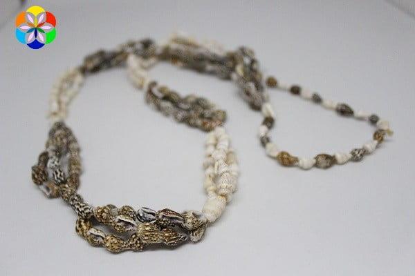 Deniz Kabukları Kolye 80cm