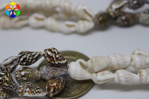 Deniz Kabukları Kolye 80cm