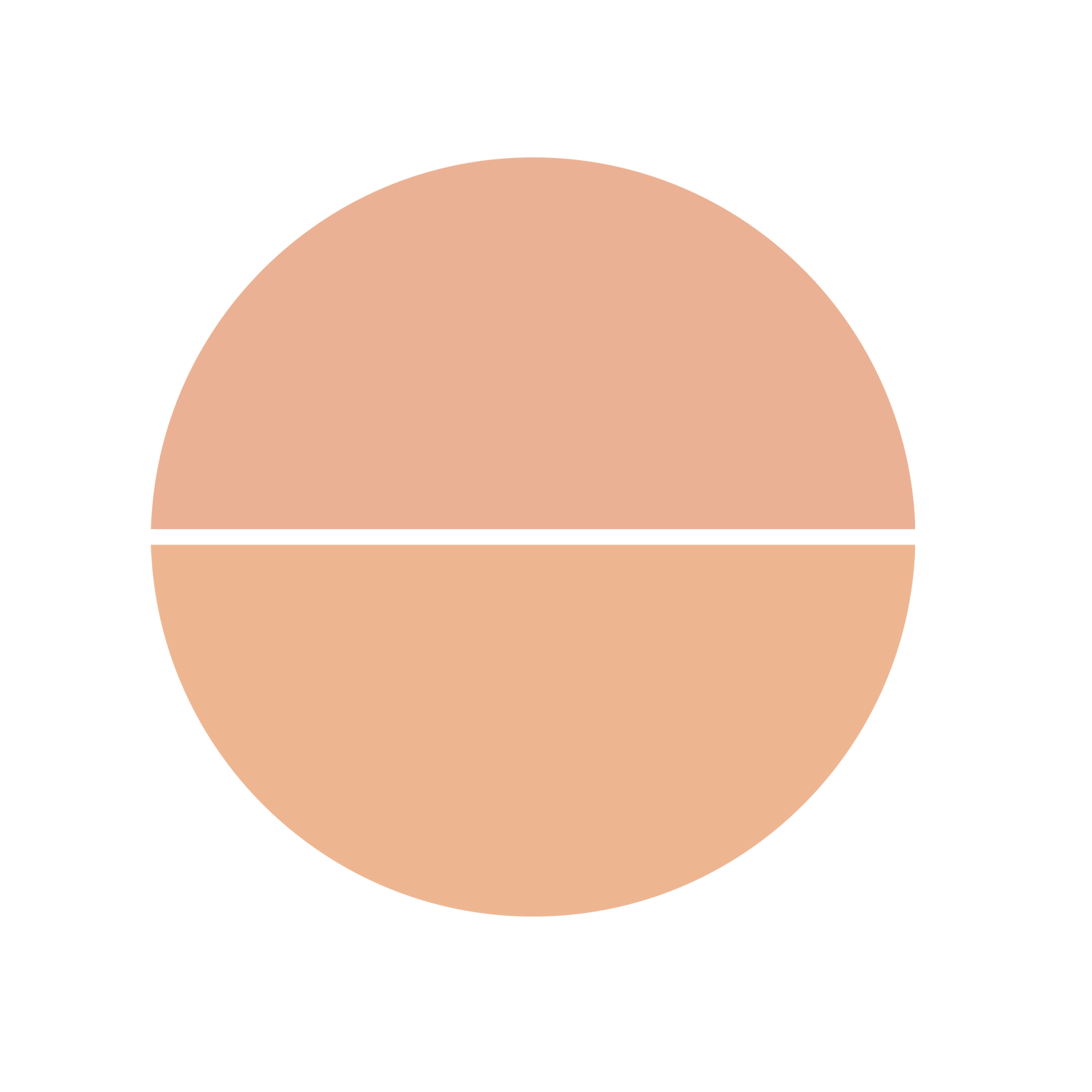 Topface Instyle Twin Blush On