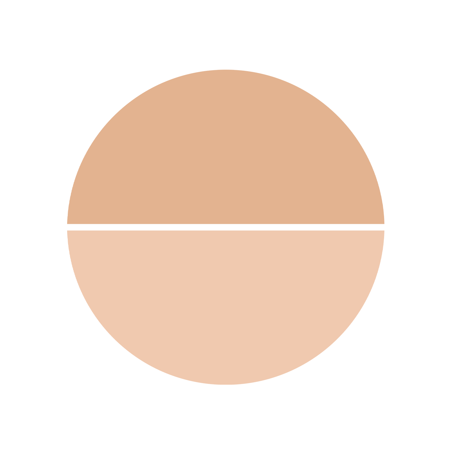 Topface Instyle Twin Blush On