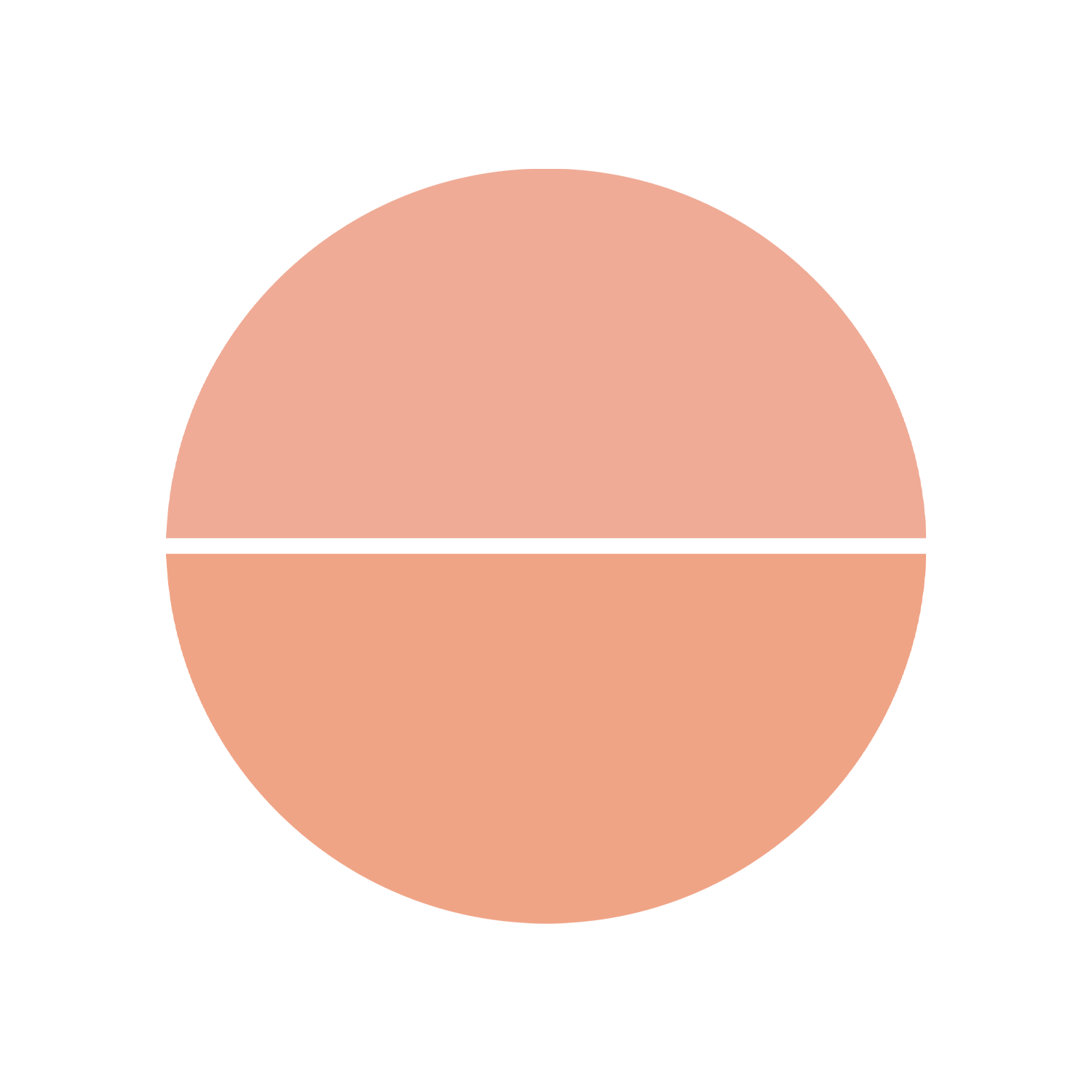 Topface Instyle Twin Blush On