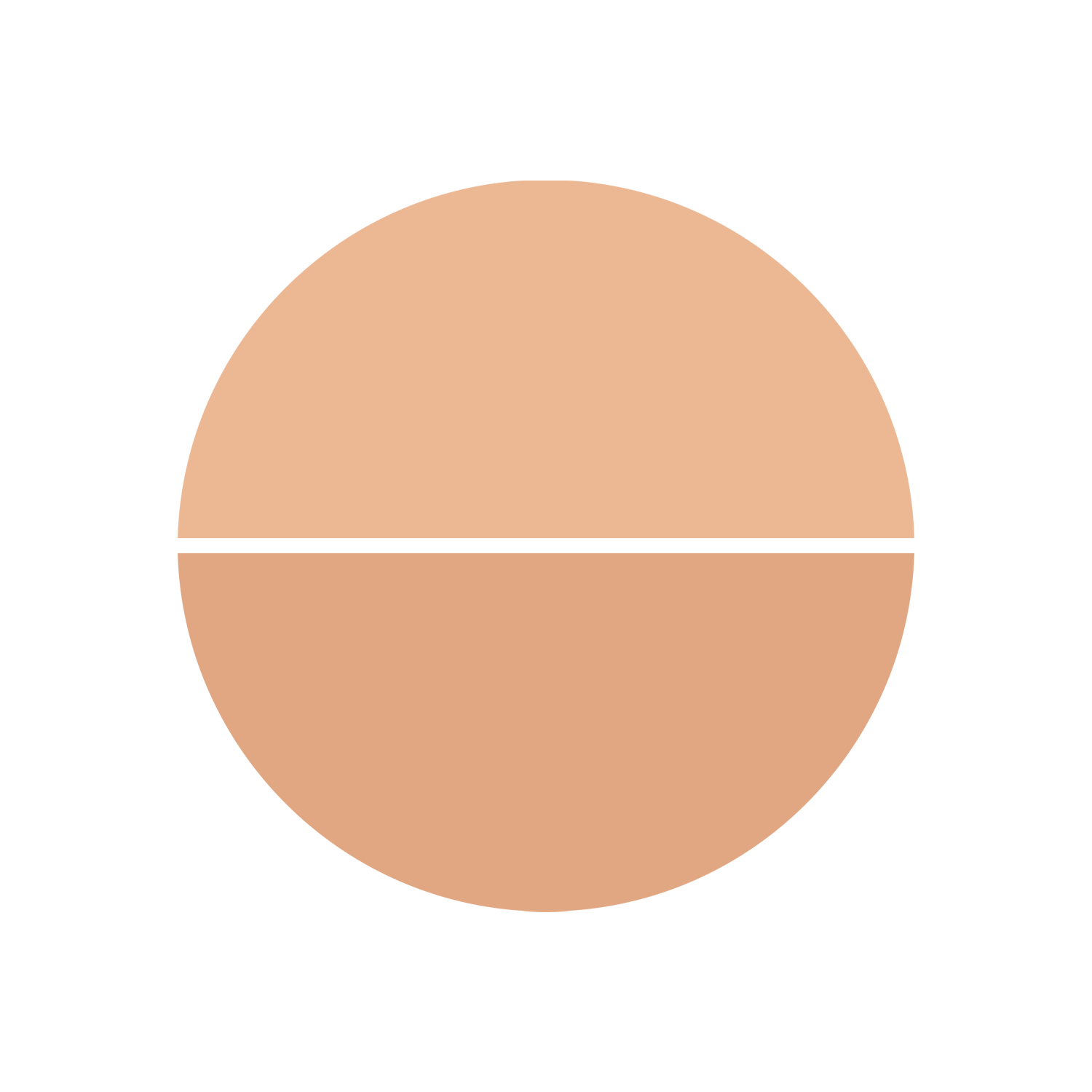 Topface Instyle Twin Blush On