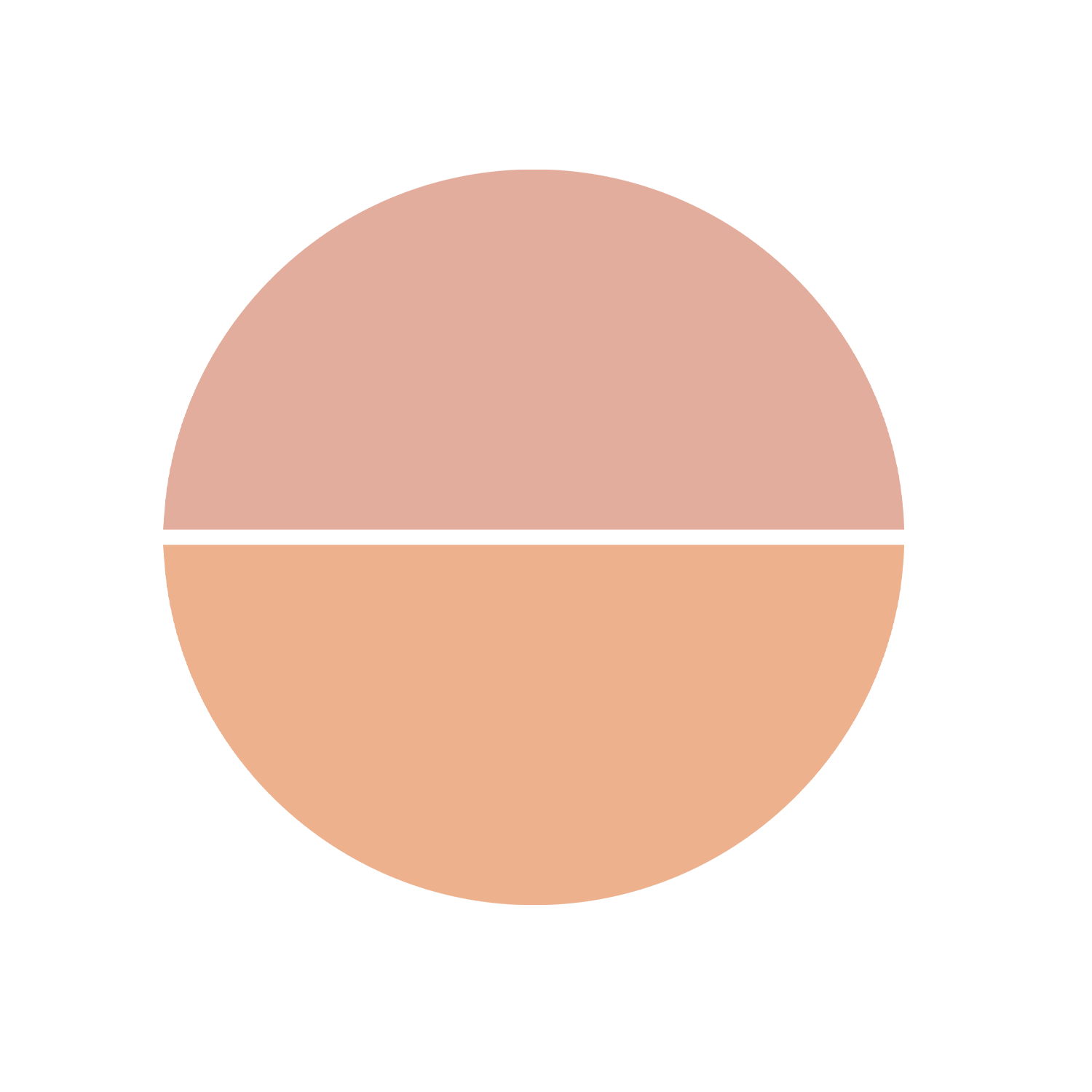 Topface Instyle Twin Blush On