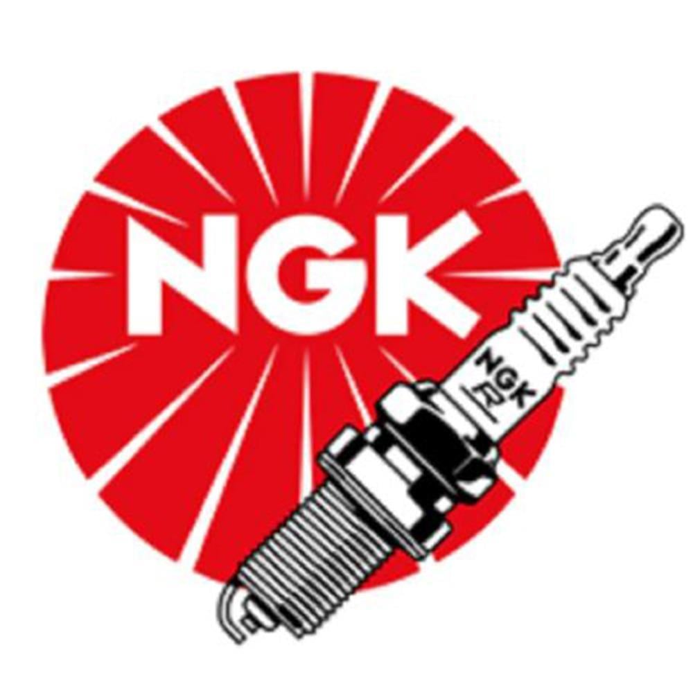 NGK Iridium Buji - GR9DI-8 ROTAX