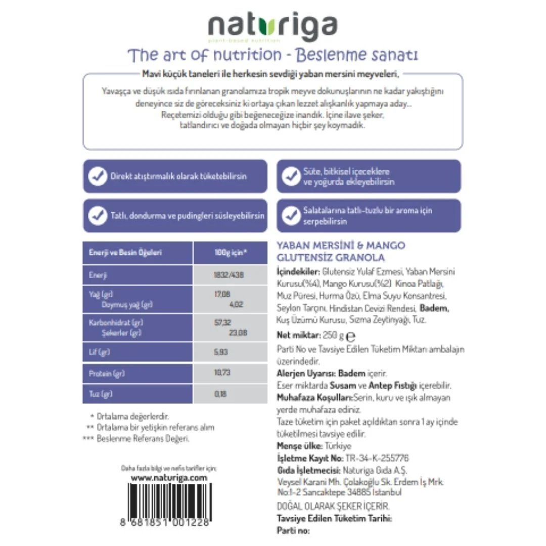 Naturiga Glutensiz Yaban Mersini & Mango Granola 250 gr