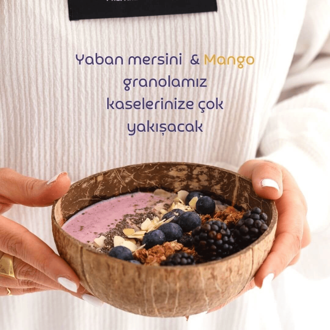 Naturiga Glutensiz Yaban Mersini & Mango Granola 250 gr