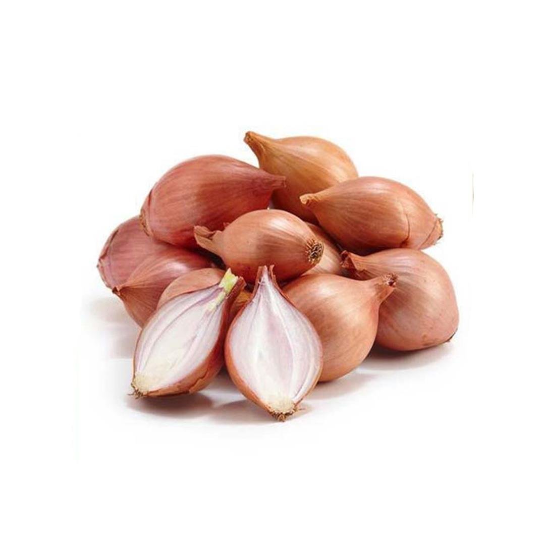 Arpacık Soğan