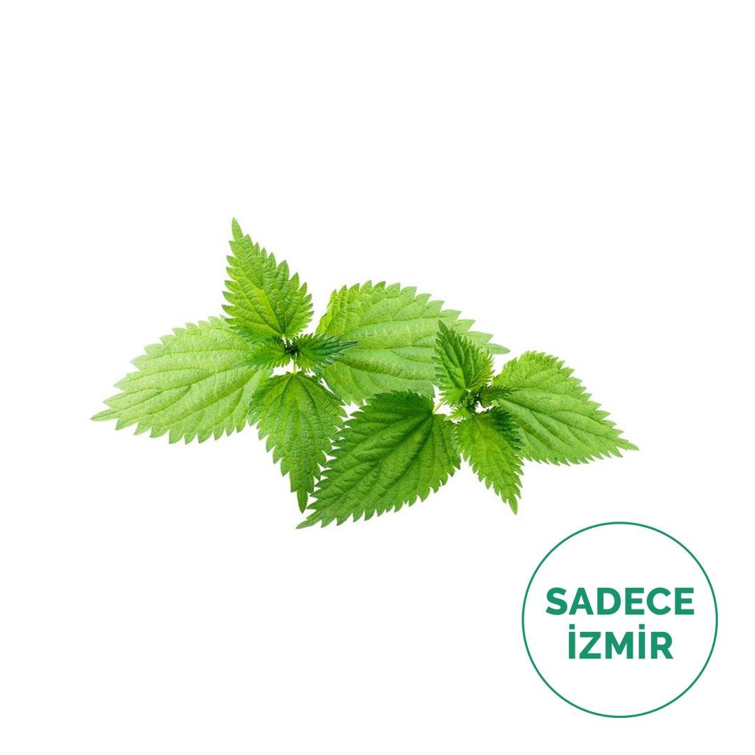 Isırgan Otu (400Gr)
