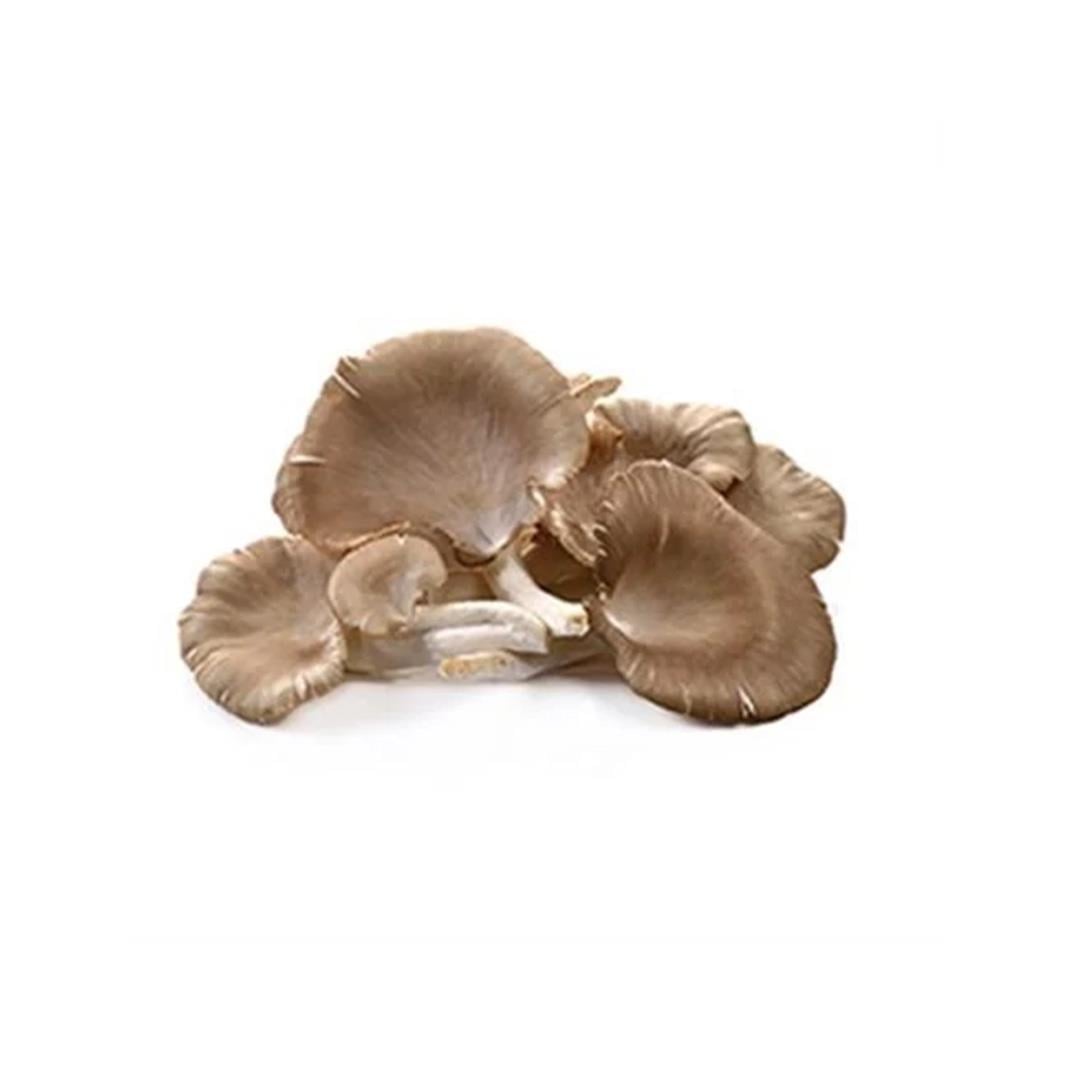 İstiridye Mantarı (350Gr)