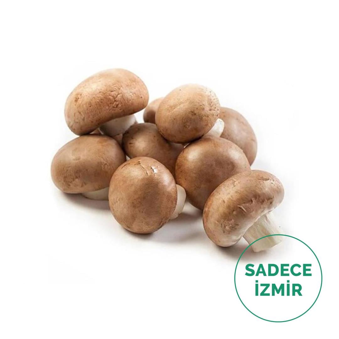 Kestane Mantarı (500Gr)