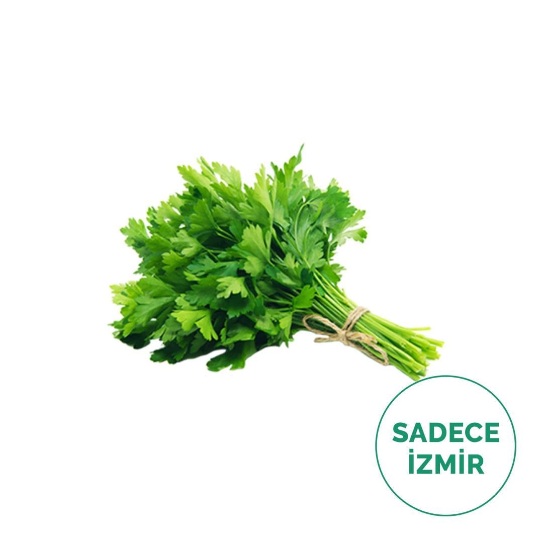 Maydanoz (Demet)