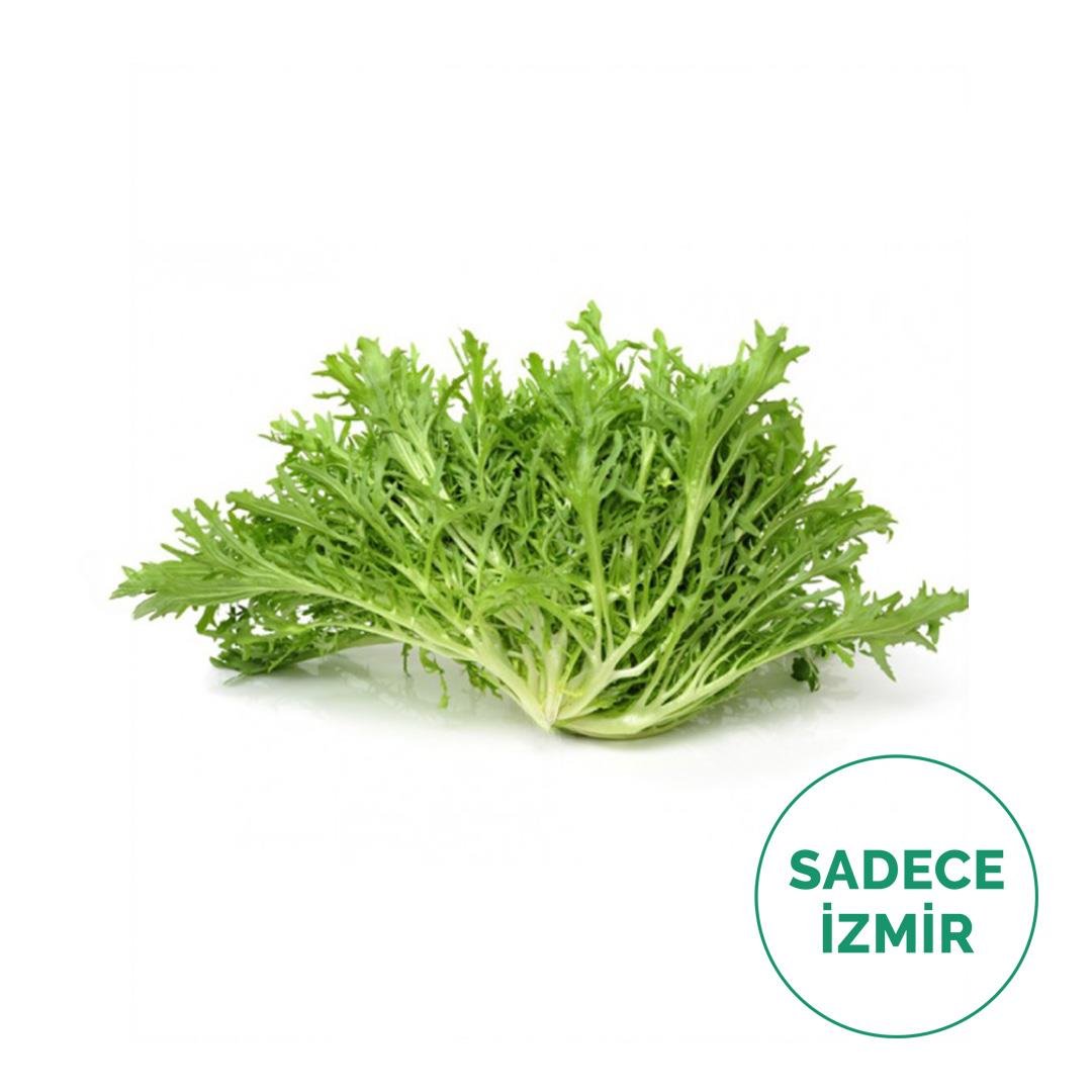 Radika (Hindibağ) Otu (500Gr)