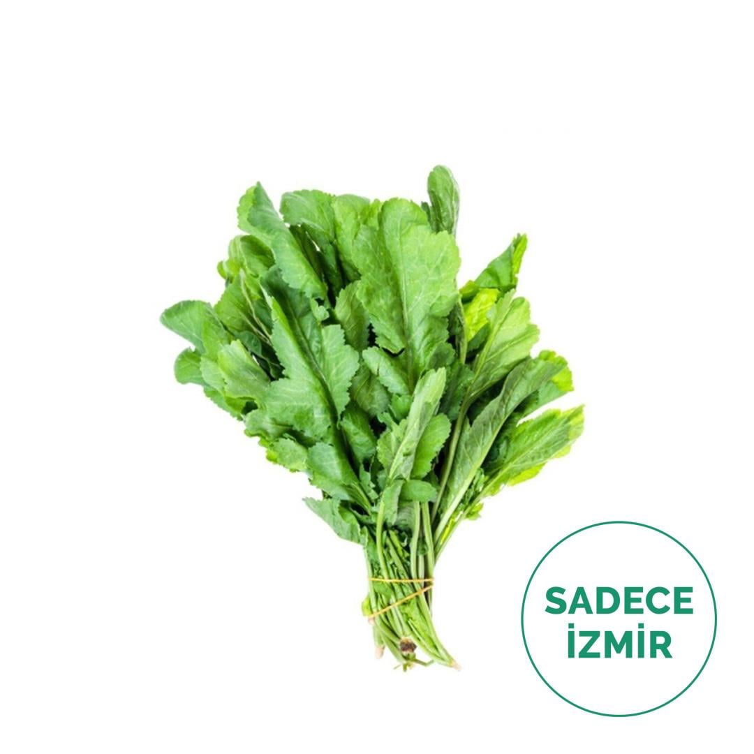 Tere (Demet)