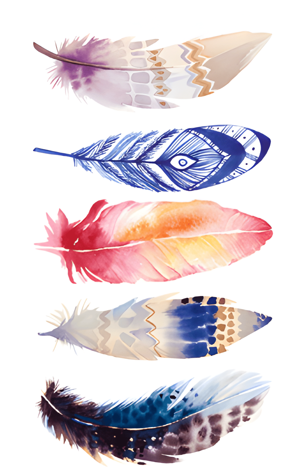 Çok renkli tüy koleksiyonu Geçici Dövme 