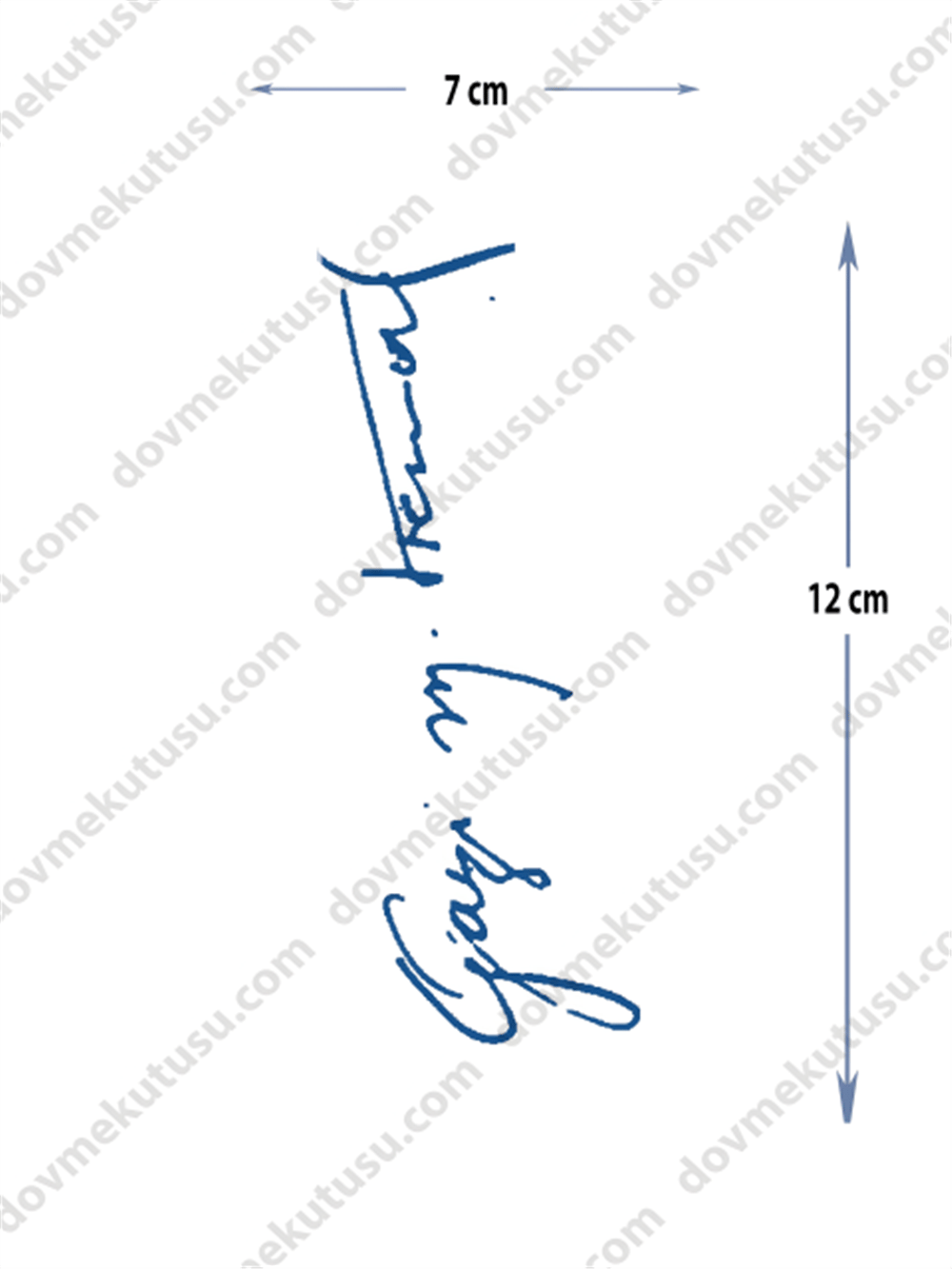 Yarı Kalıcı Küçük Boy Atatürk İmza Dövmesi