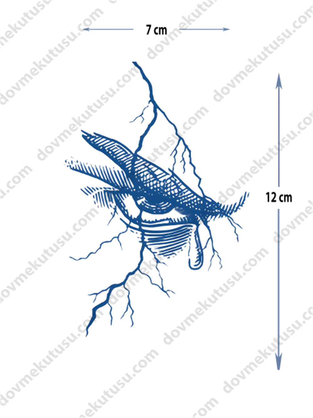 Yarı Kalıcı Küçük Boy dövme şimşek ve göz tasarımlı dövme 