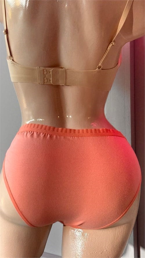 Tutku Kadın Pamuklu Bikini Külot - %100 Pamuk Günlük İç Giyim Asorti