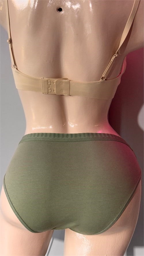 Tutku Kadın Pamuklu Bikini Külot - %100 Pamuk Günlük İç Giyim Asorti