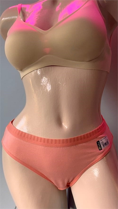Tutku Kadın Pamuklu Bikini Külot - %100 Pamuk Günlük İç Giyim Asorti