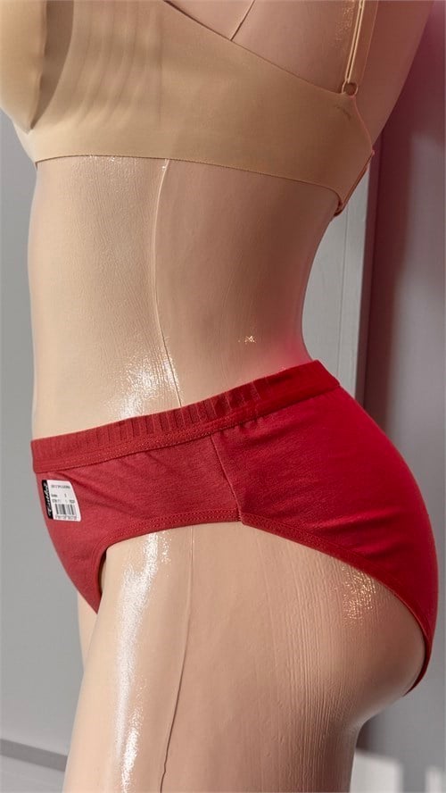 Tutku Kadın Pamuklu Bikini Külot - %100 Pamuk Günlük İç Giyim Asorti