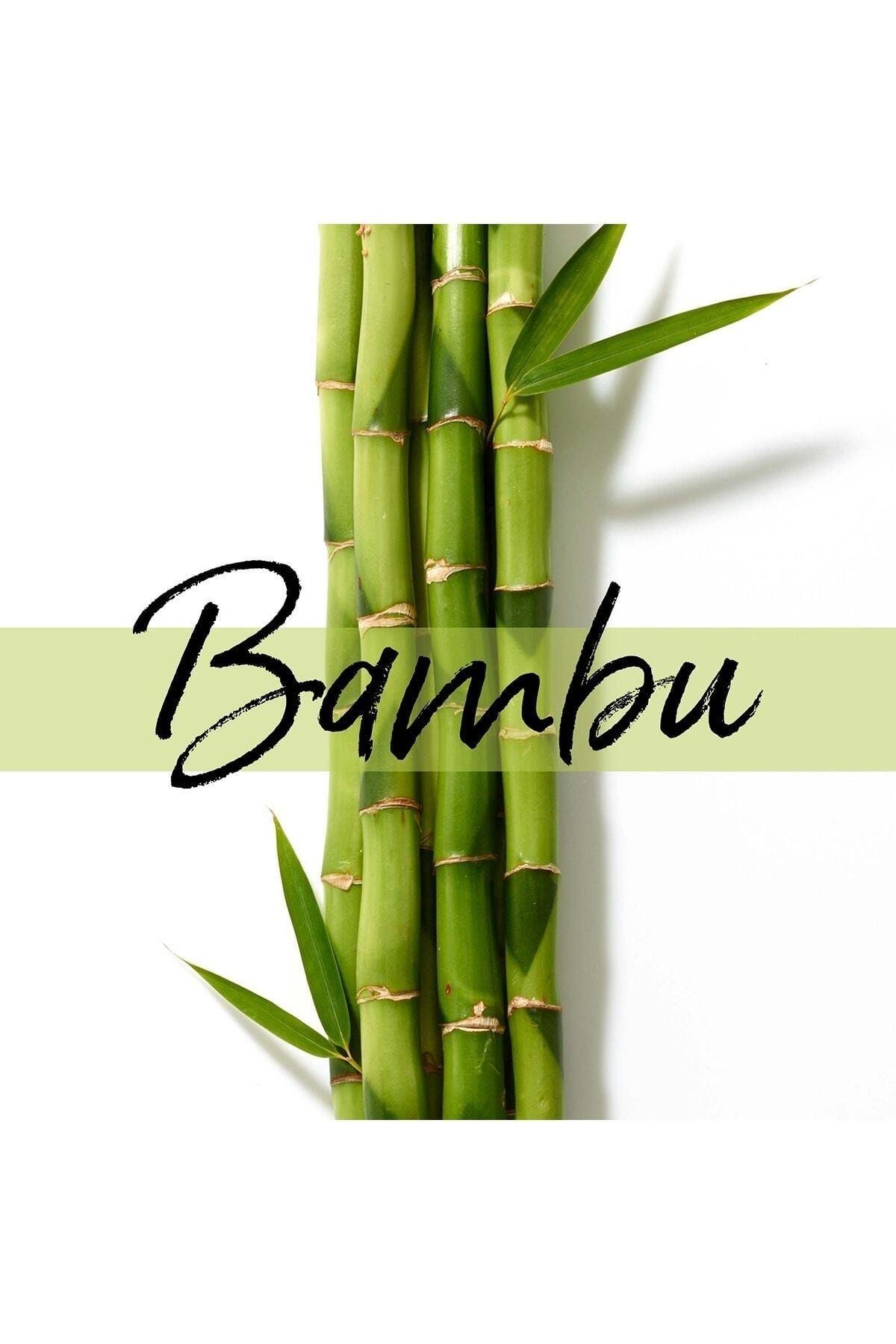 - Uzun Ve Güçlü Saclar Için Keratin Koruyucu Dökülme Karşıtı Maske, Bambu Ve Biyotinli, 160ml