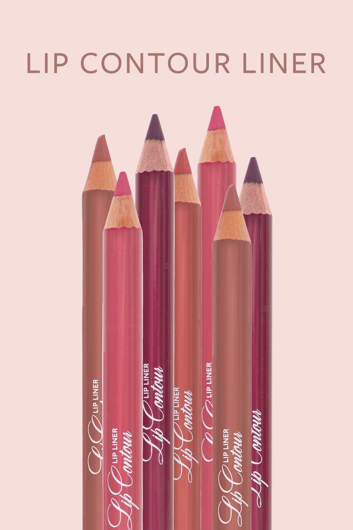 PROFASHION PLUMPING GLOSS 205 + PASTEL LIP CONTOUR LIP LINER 53