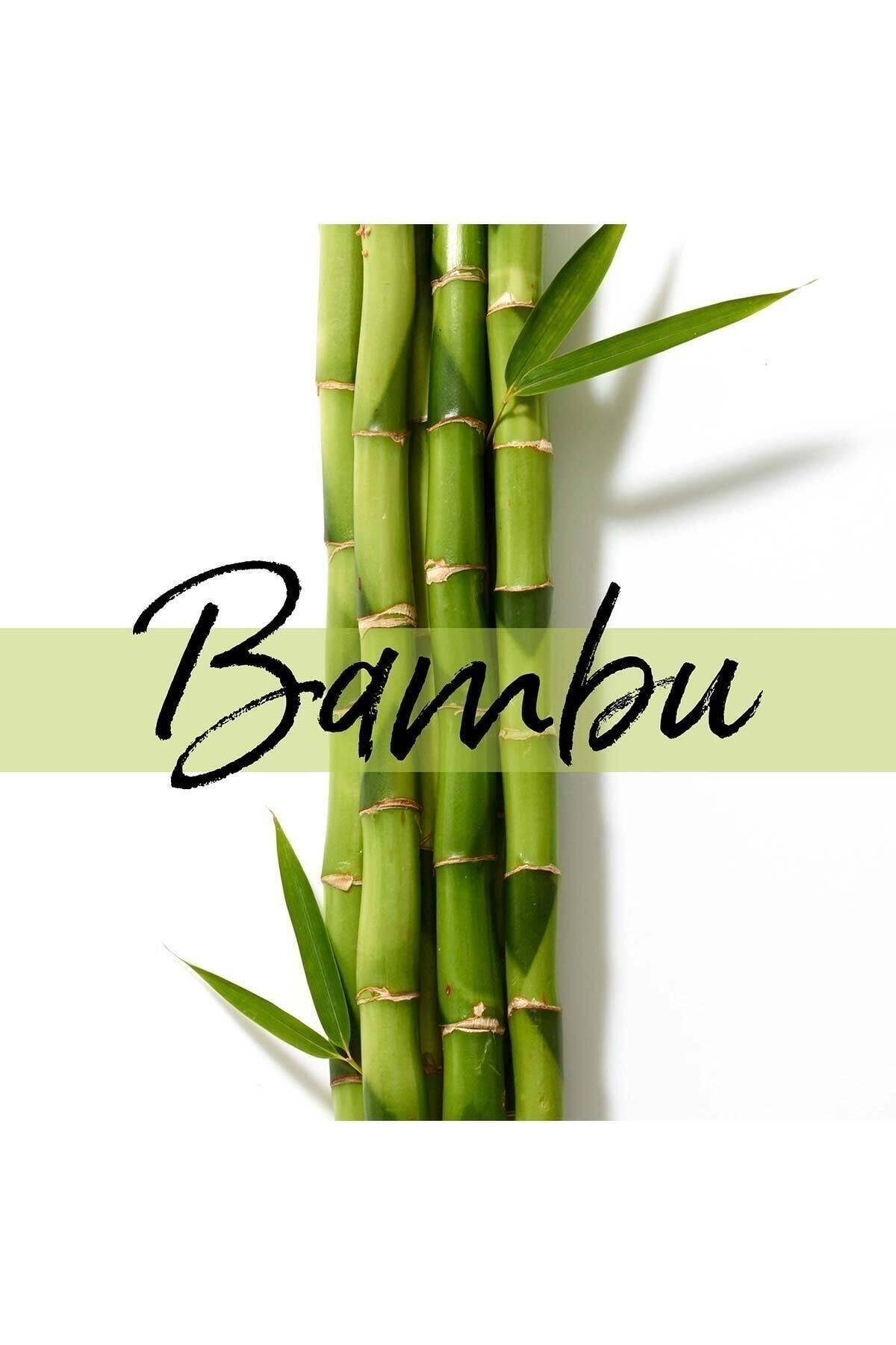 Saç Bakım Maskesi Uzun Ve Güçlü, Keratin Koruyucu, Dökülme Karşıtı, Bambu + Biyotin 160 Ml Naturals