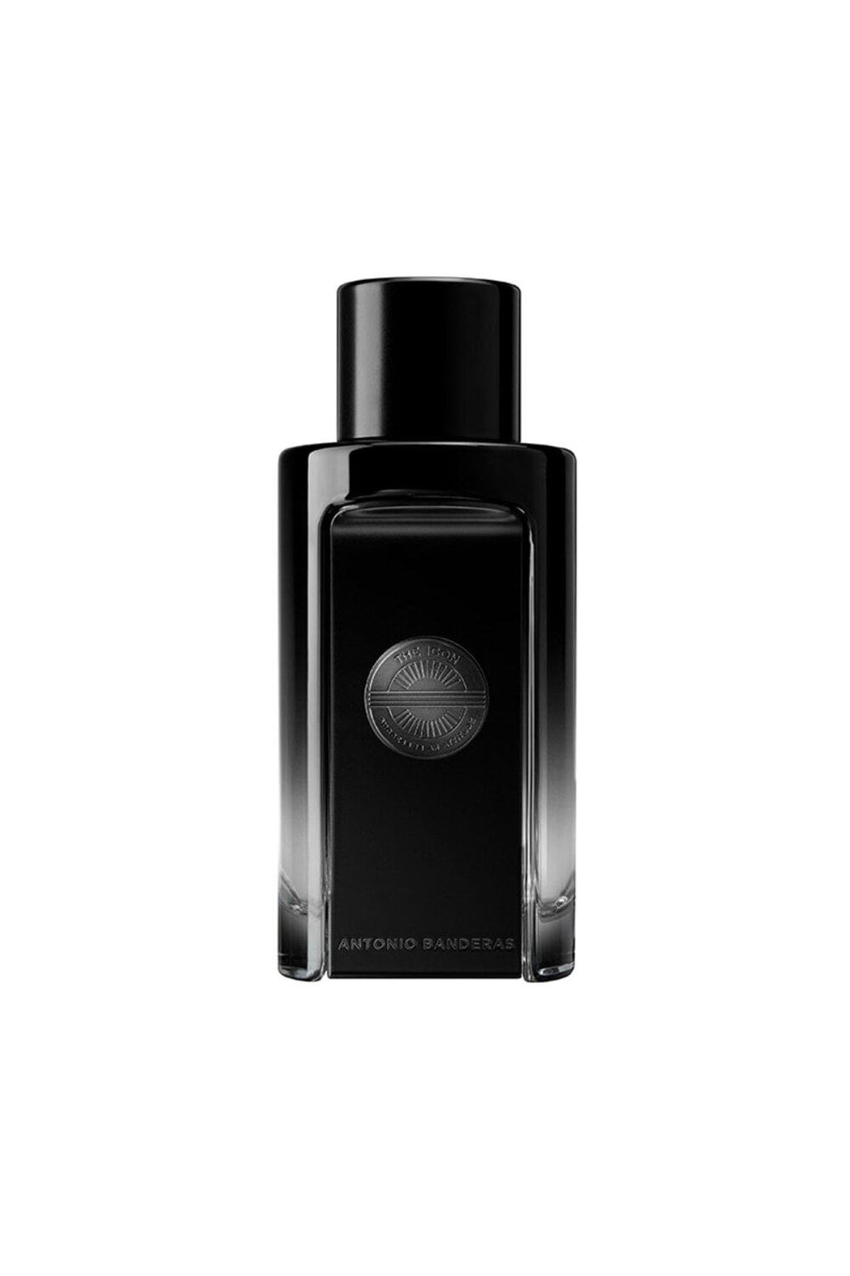 The Icon Edp Erkek Parfüm 100 ml-833492534237