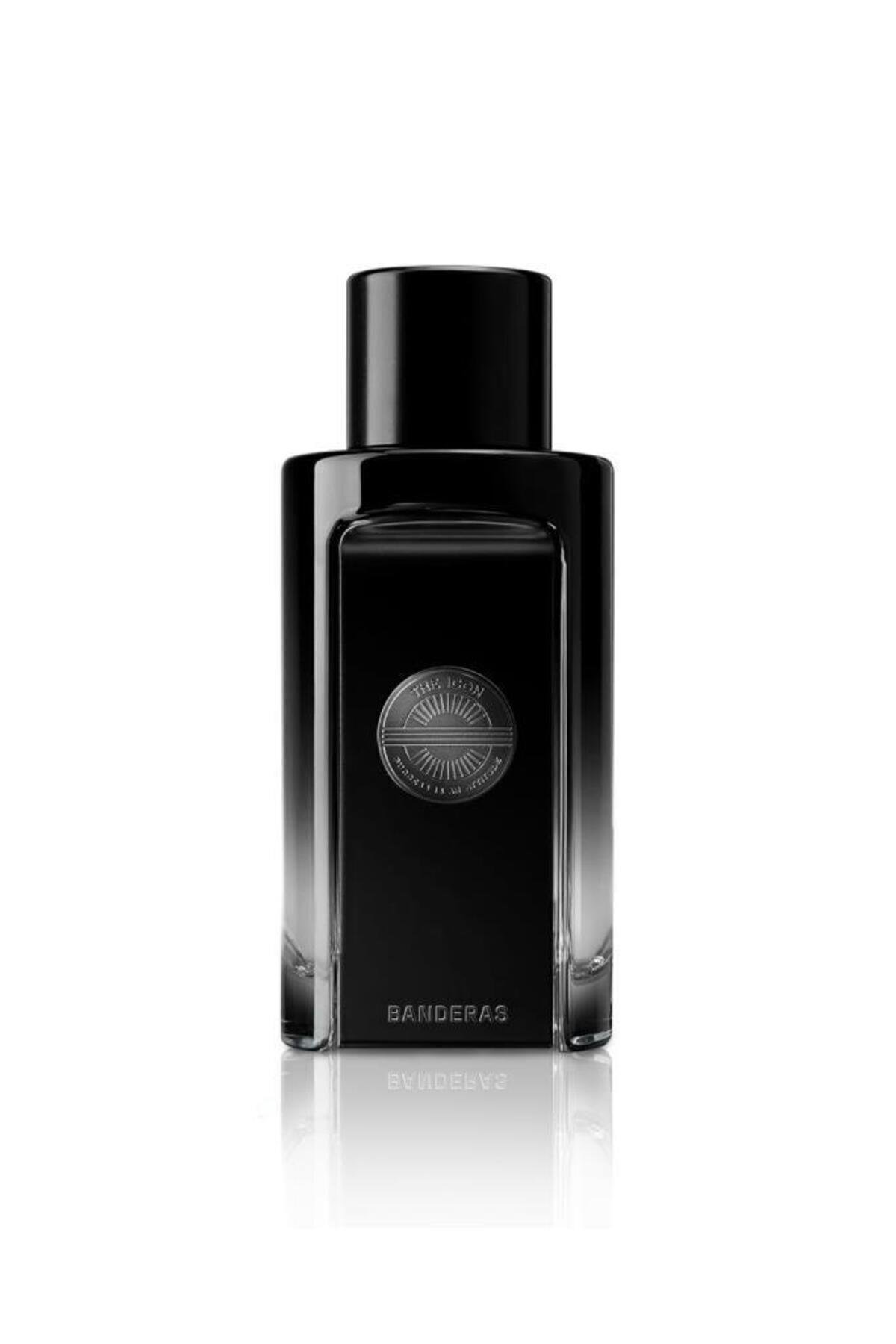 The Icon The Perfume EDP 100 ml 2024 Erkek Parfüm